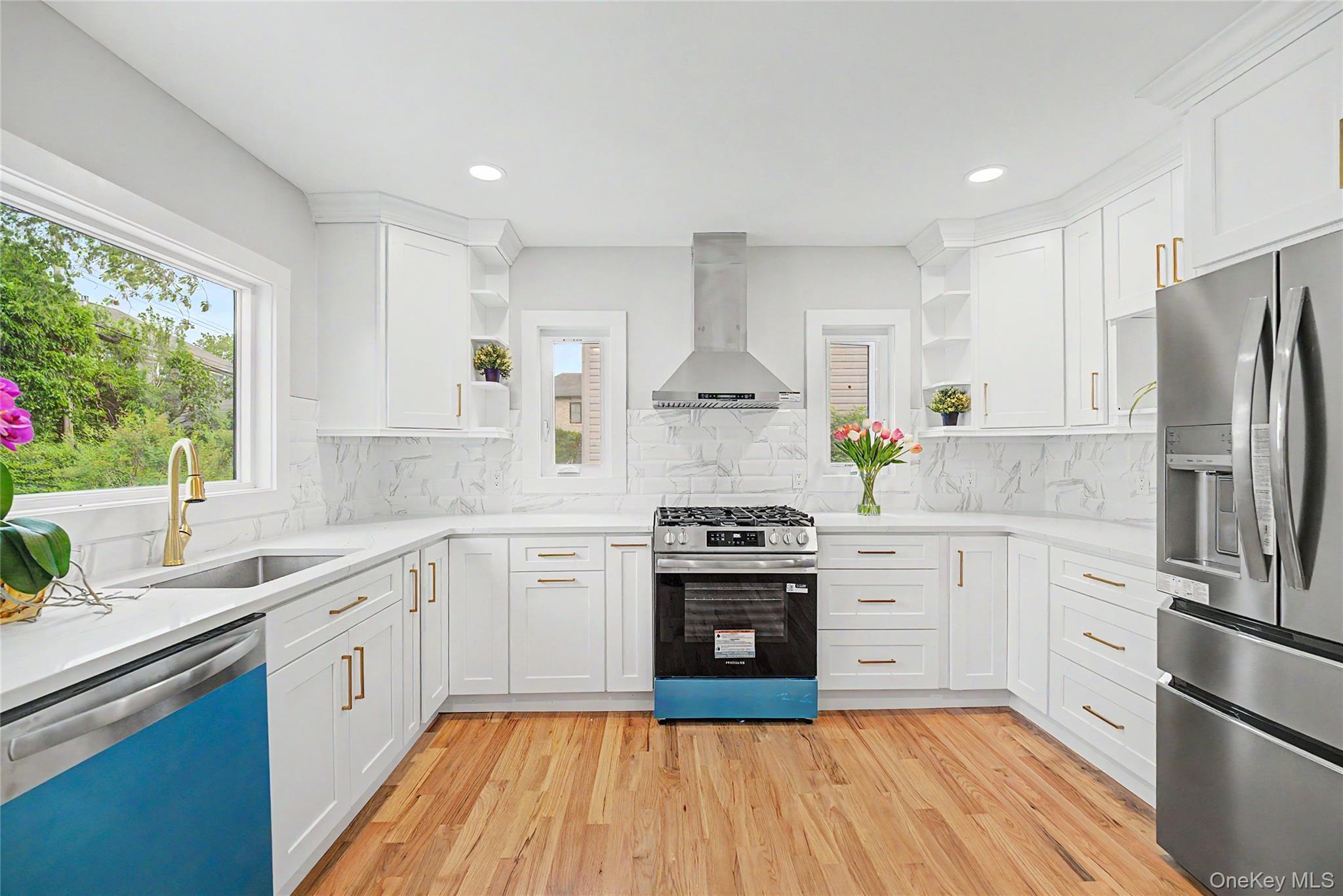 Single Family Moore Street Nassau County, NY 11040, MLS-1037390-12