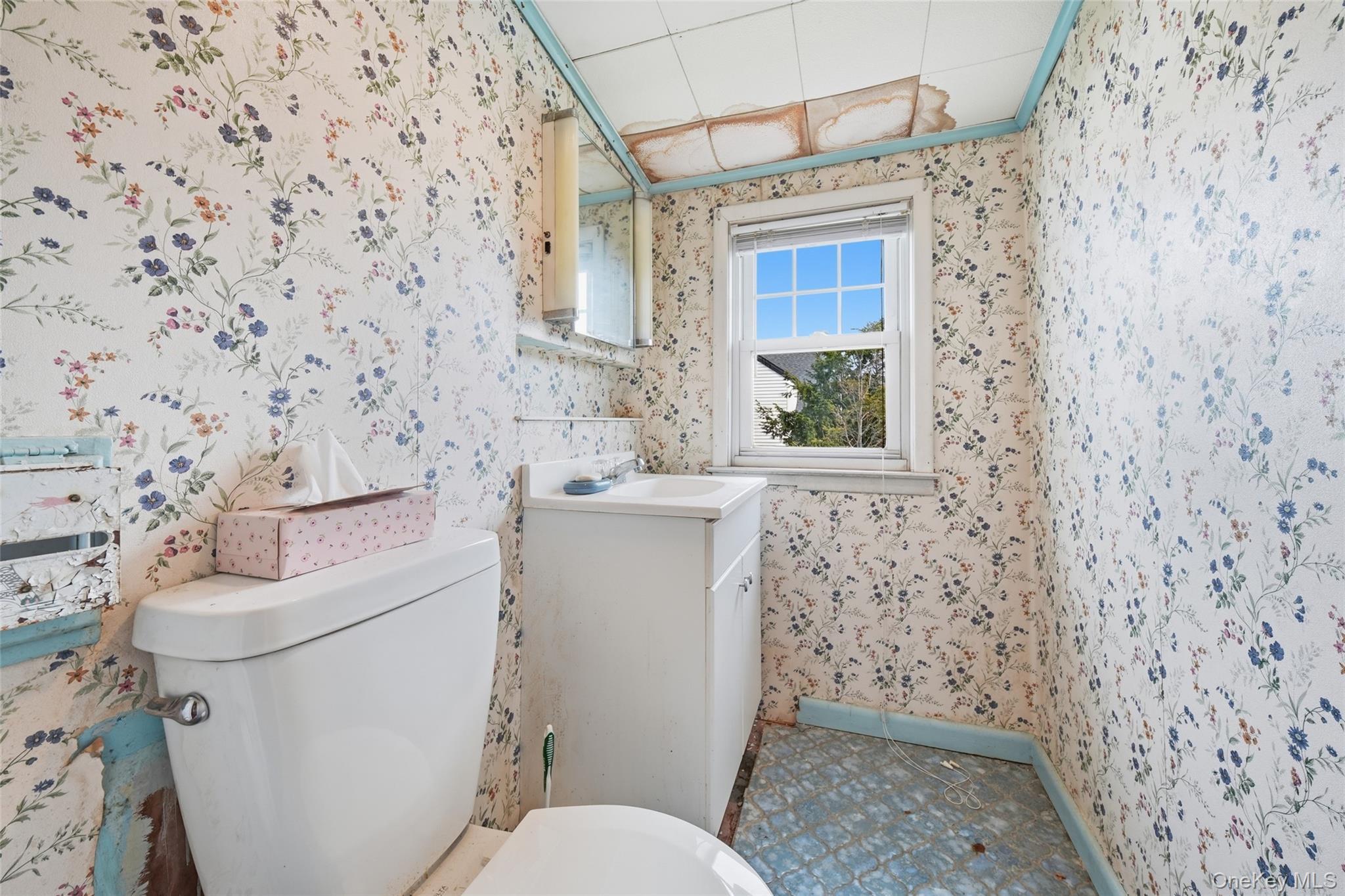 Single Family Saratoga Street Nassau County, NY 11572, MLS-1037439-13