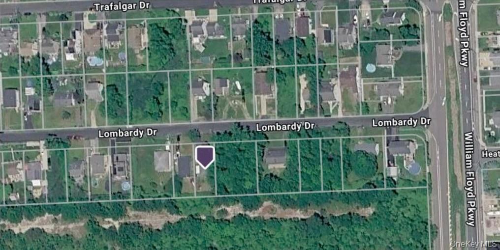 Single Family Lombardy Drive Suffolk County, NY 11967, MLS-1037450-25