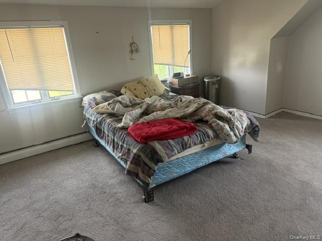 Single Family Ferris Road  Nassau County, NY 11783, MLS-1037456-10