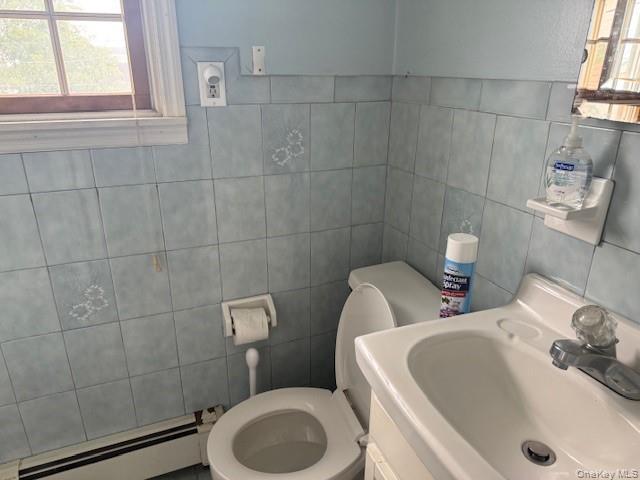 Single Family Ferris Road  Nassau County, NY 11783, MLS-1037456-5