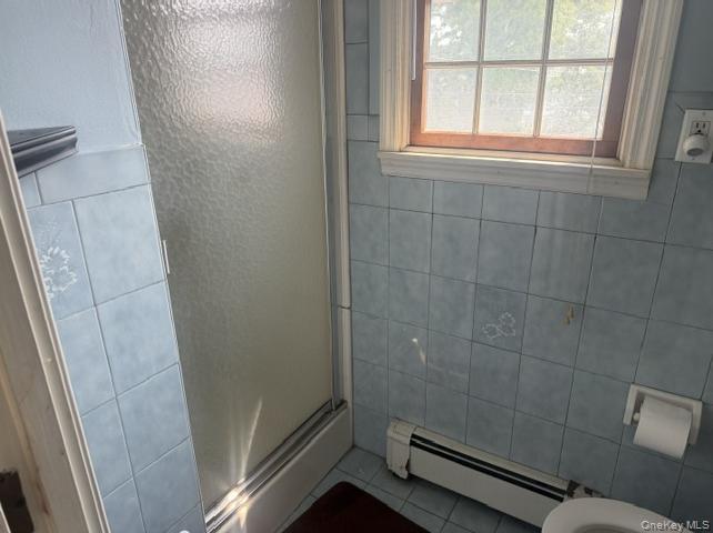 Single Family Ferris Road  Nassau County, NY 11783, MLS-1037456-6