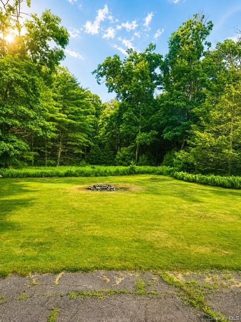 Single Family White Road  Sullivan County, NY 12737, MLS-1037465-2
