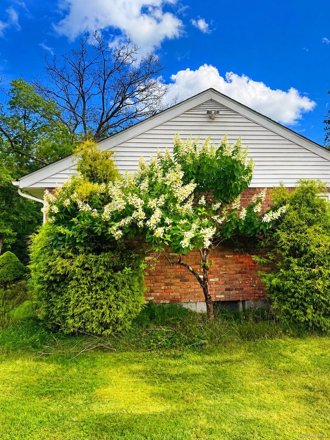 Single Family White Road  Sullivan County, NY 12737, MLS-1037465-9