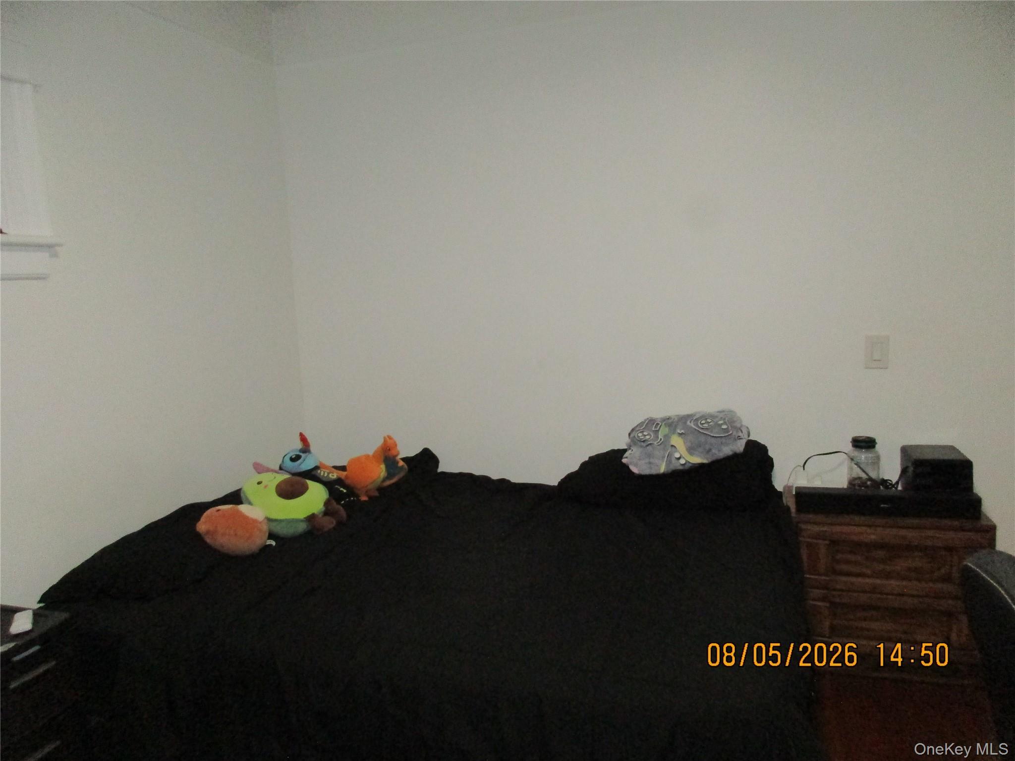 Single Family 79th Street  Queens, NY 11379, MLS-1037472-28