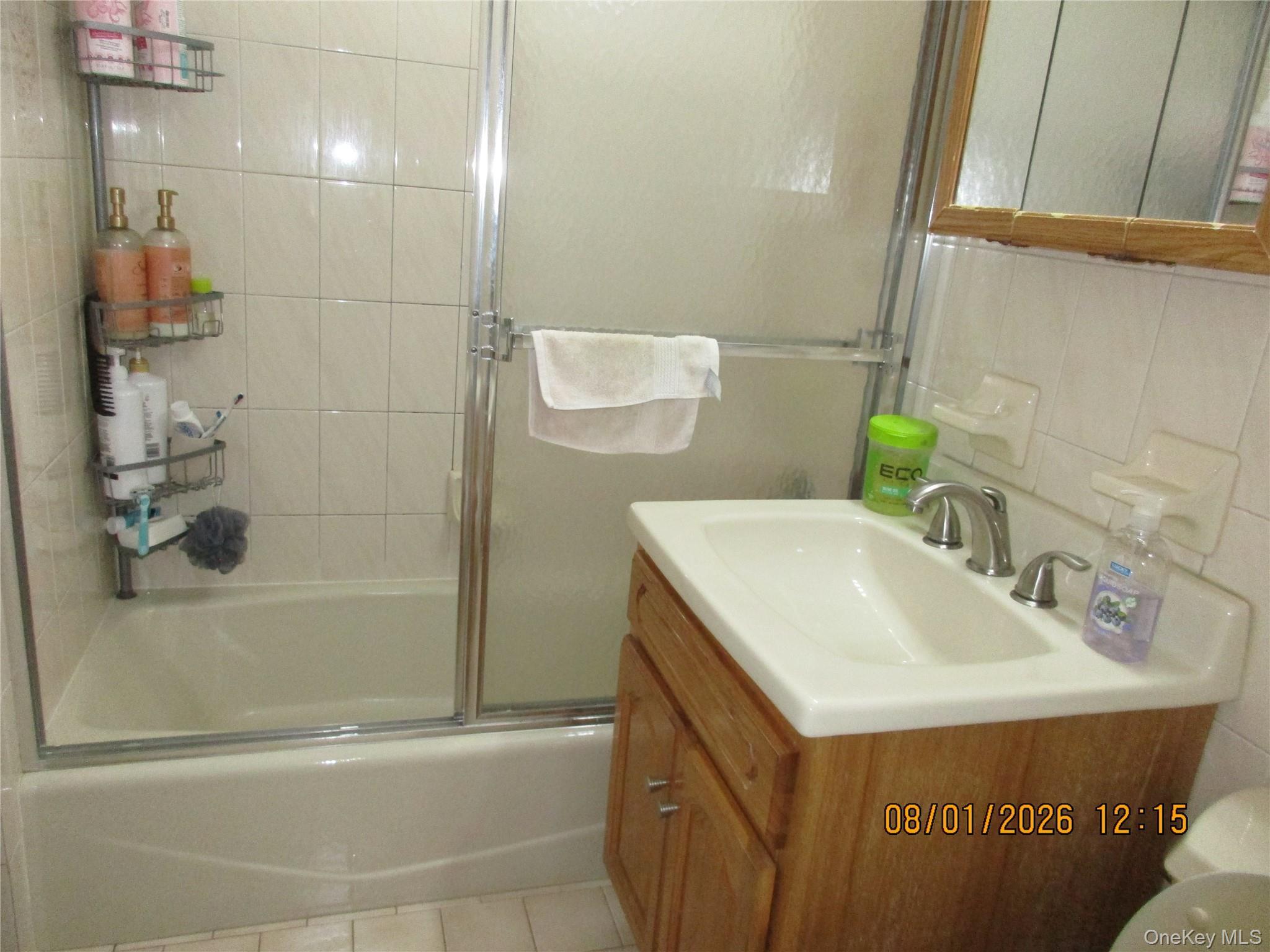 Single Family 79th Street  Queens, NY 11379, MLS-1037472-8