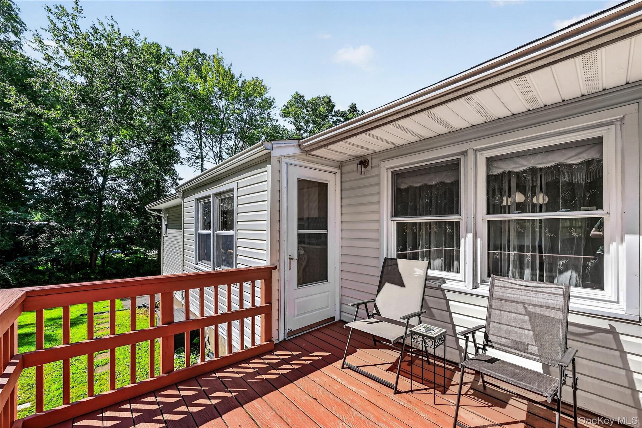 Single Family Meadow Street Orange County, NY 12550, MLS-1037473-17