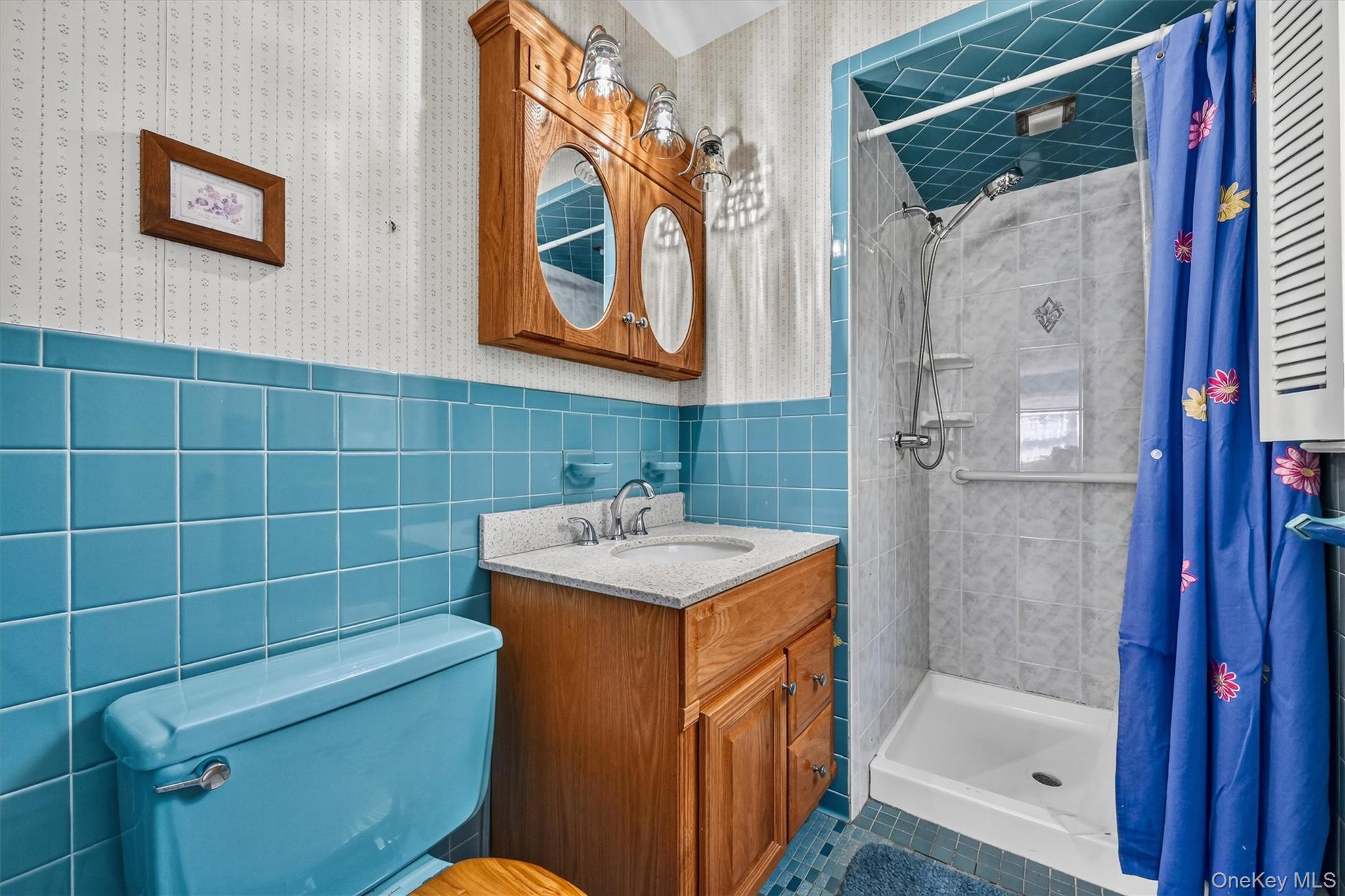 Single Family Meadow Street Orange County, NY 12550, MLS-1037473-26