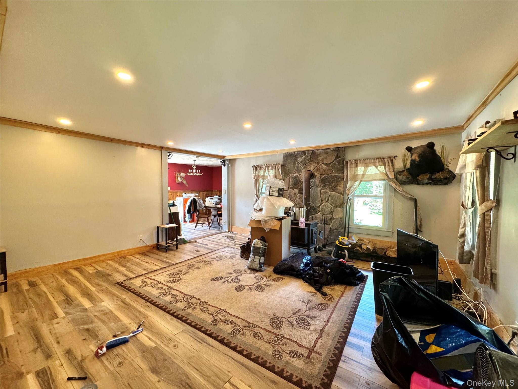 Single Family Lake Road  Greene County, NY 12442, MLS-1037491-10