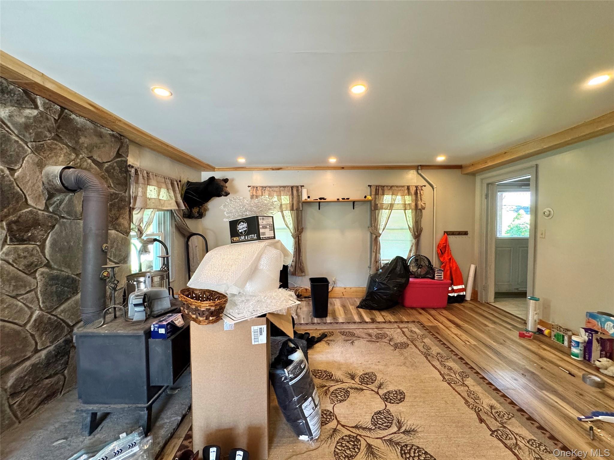 Single Family Lake Road  Greene County, NY 12442, MLS-1037491-11