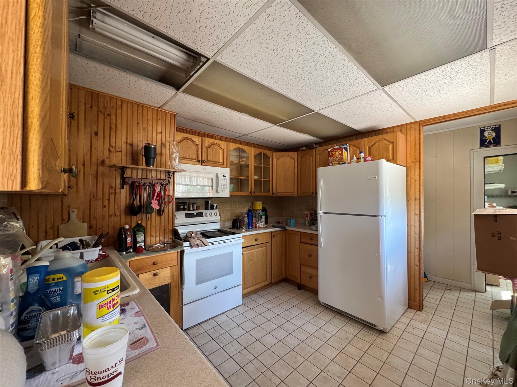 Single Family Lake Road  Greene County, NY 12442, MLS-1037491-13