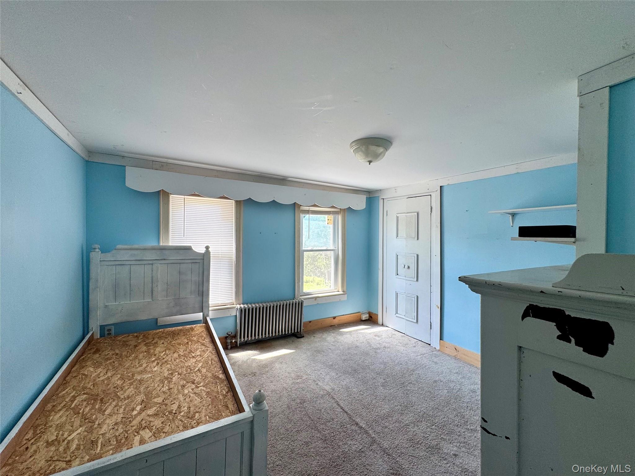 Single Family Lake Road  Greene County, NY 12442, MLS-1037491-14