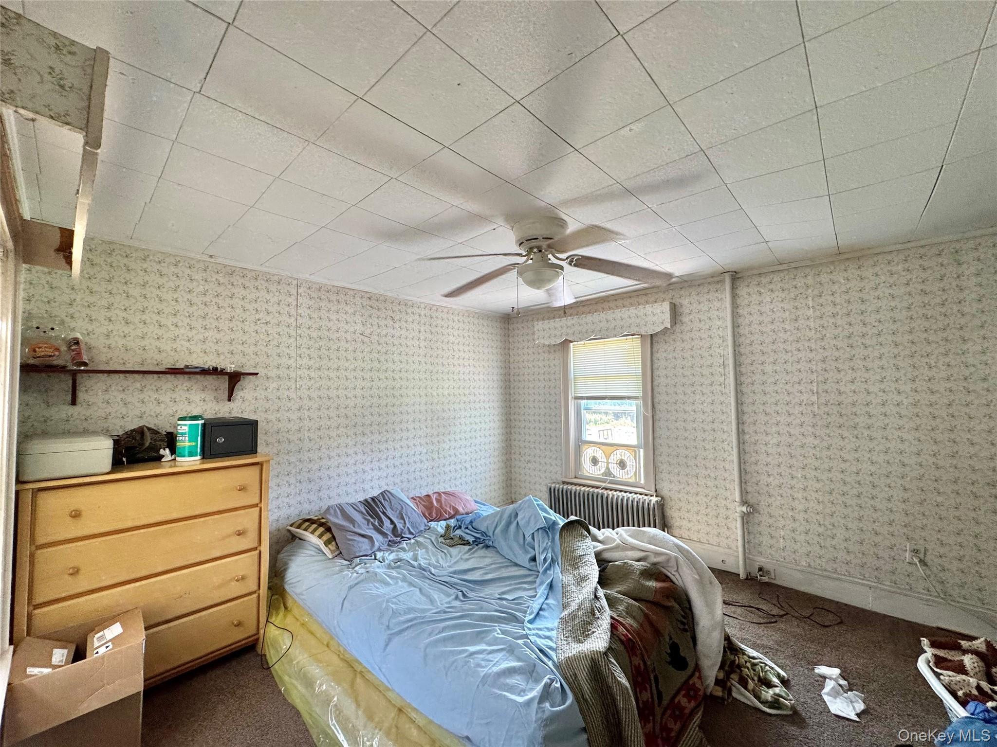 Single Family Lake Road  Greene County, NY 12442, MLS-1037491-16