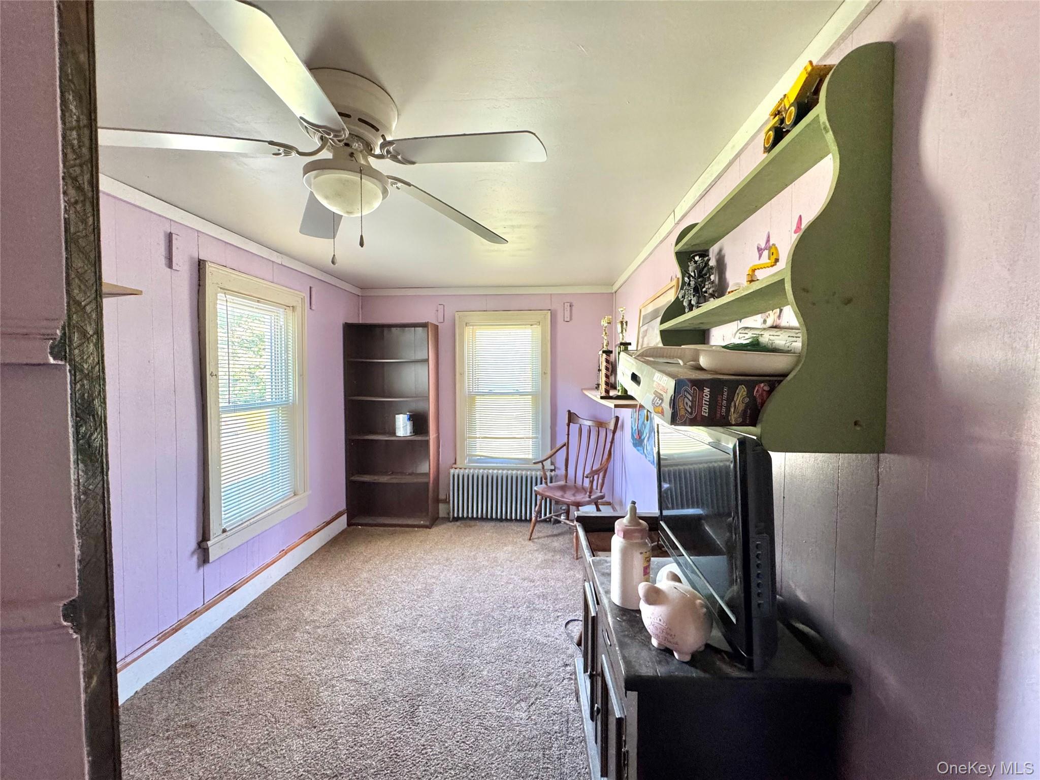 Single Family Lake Road  Greene County, NY 12442, MLS-1037491-21