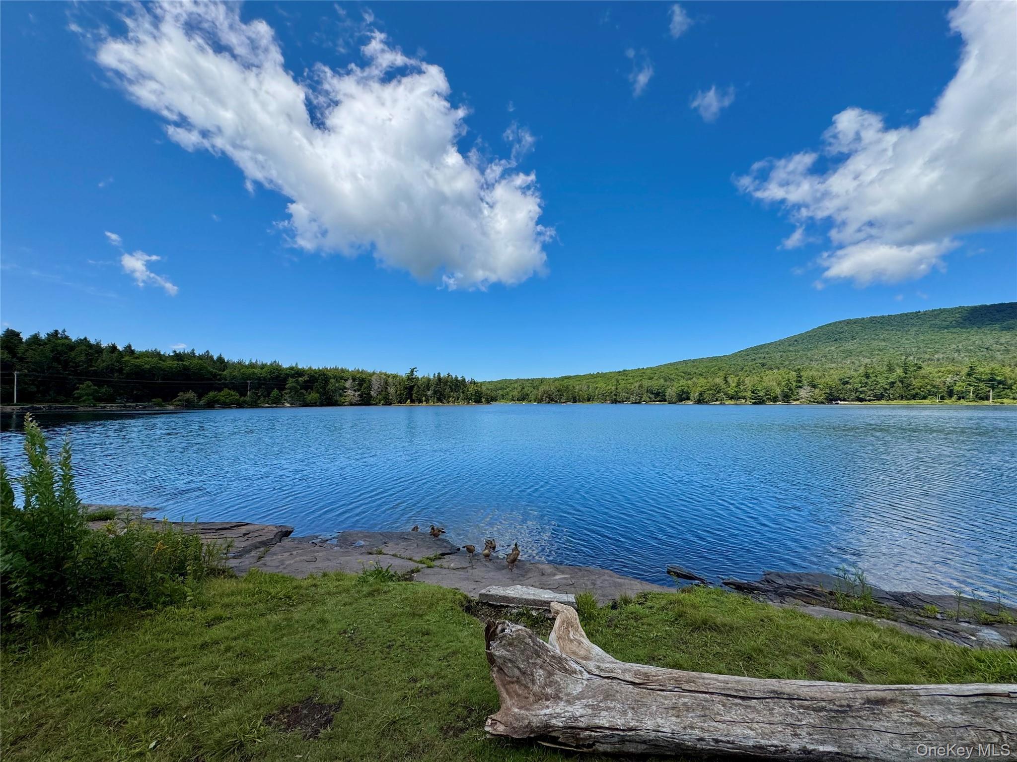Single Family Lake Road  Greene County, NY 12442, MLS-1037491-31