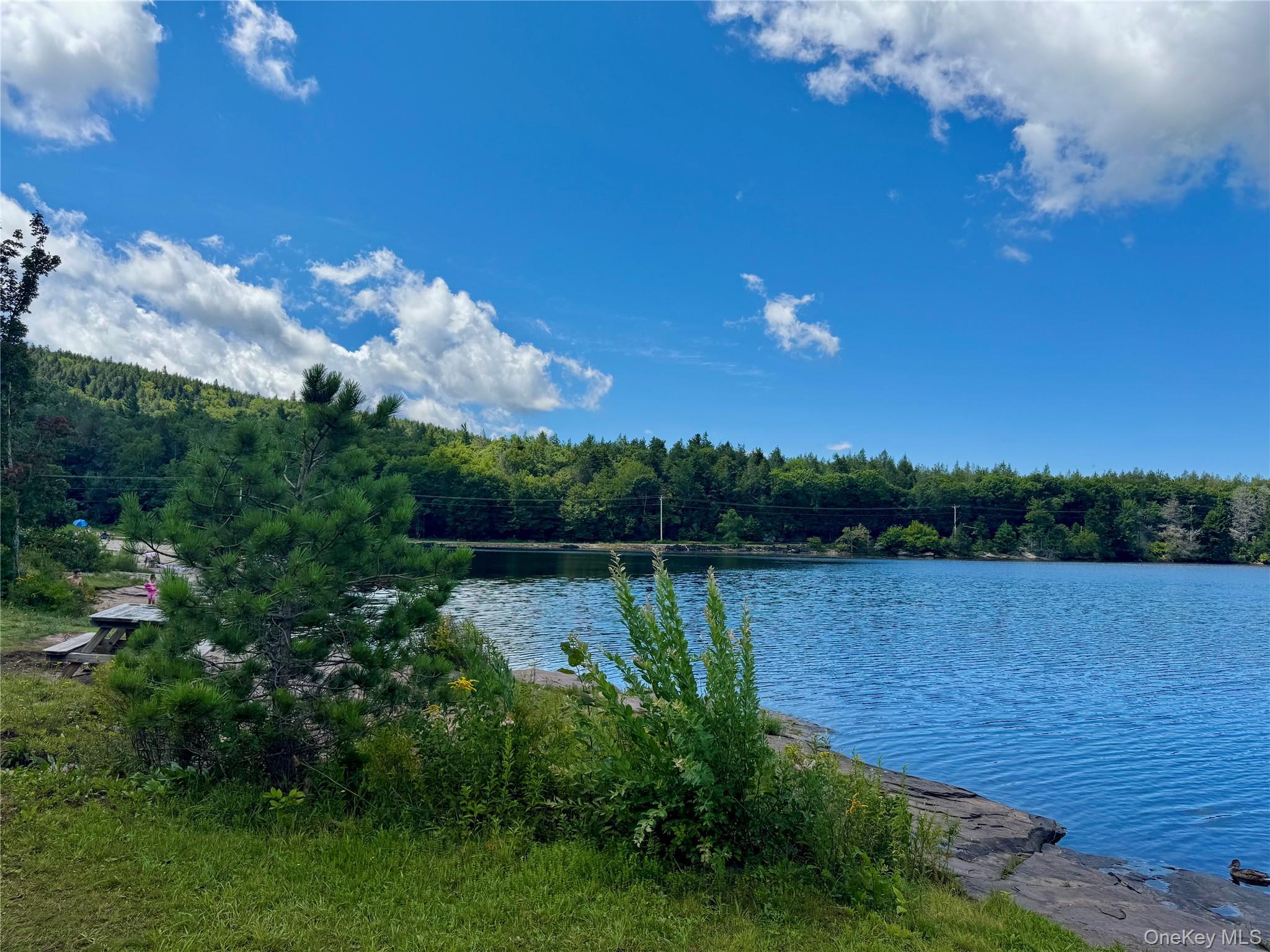 Single Family Lake Road  Greene County, NY 12442, MLS-1037491-32