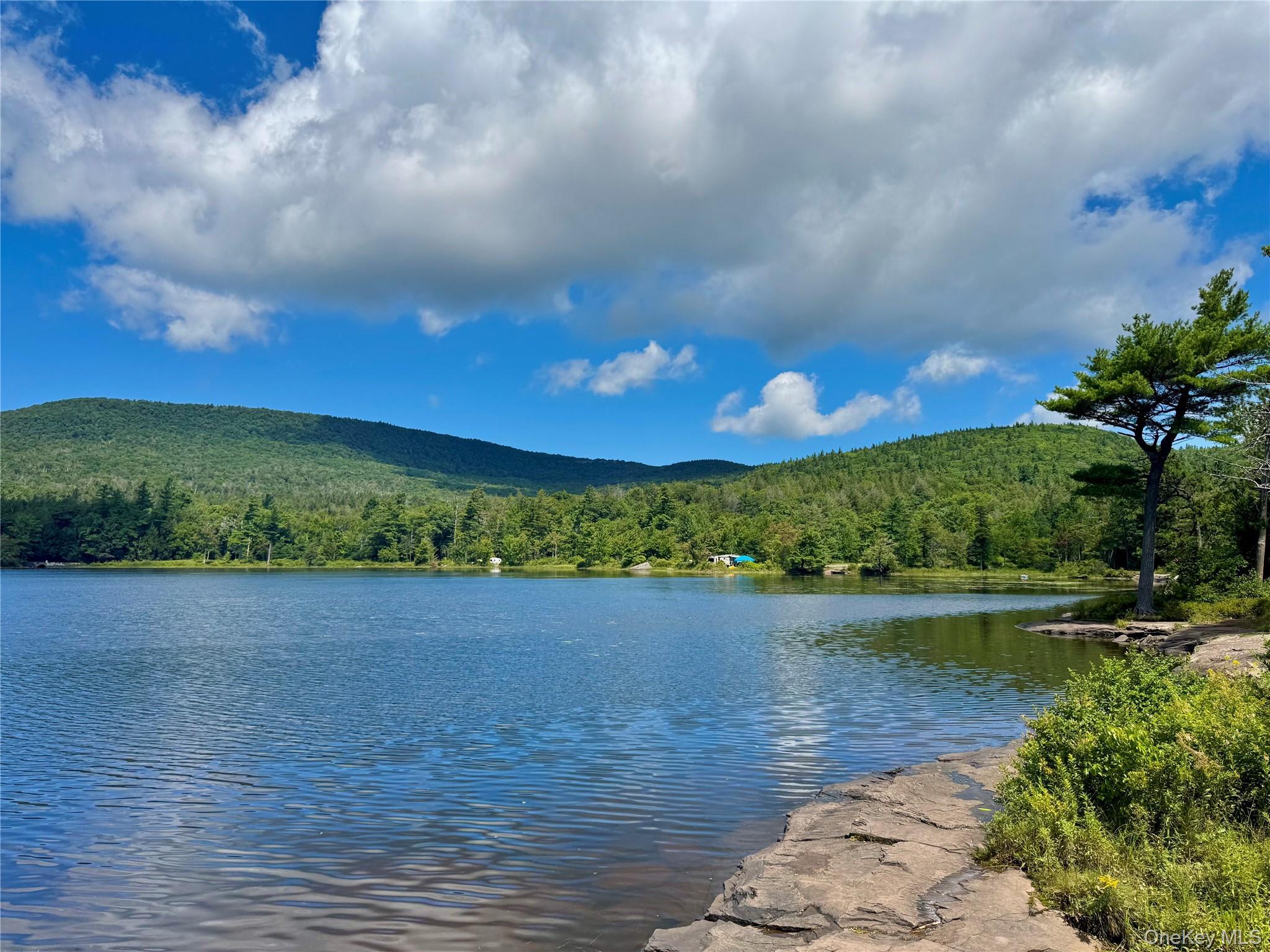Single Family Lake Road  Greene County, NY 12442, MLS-1037491-33