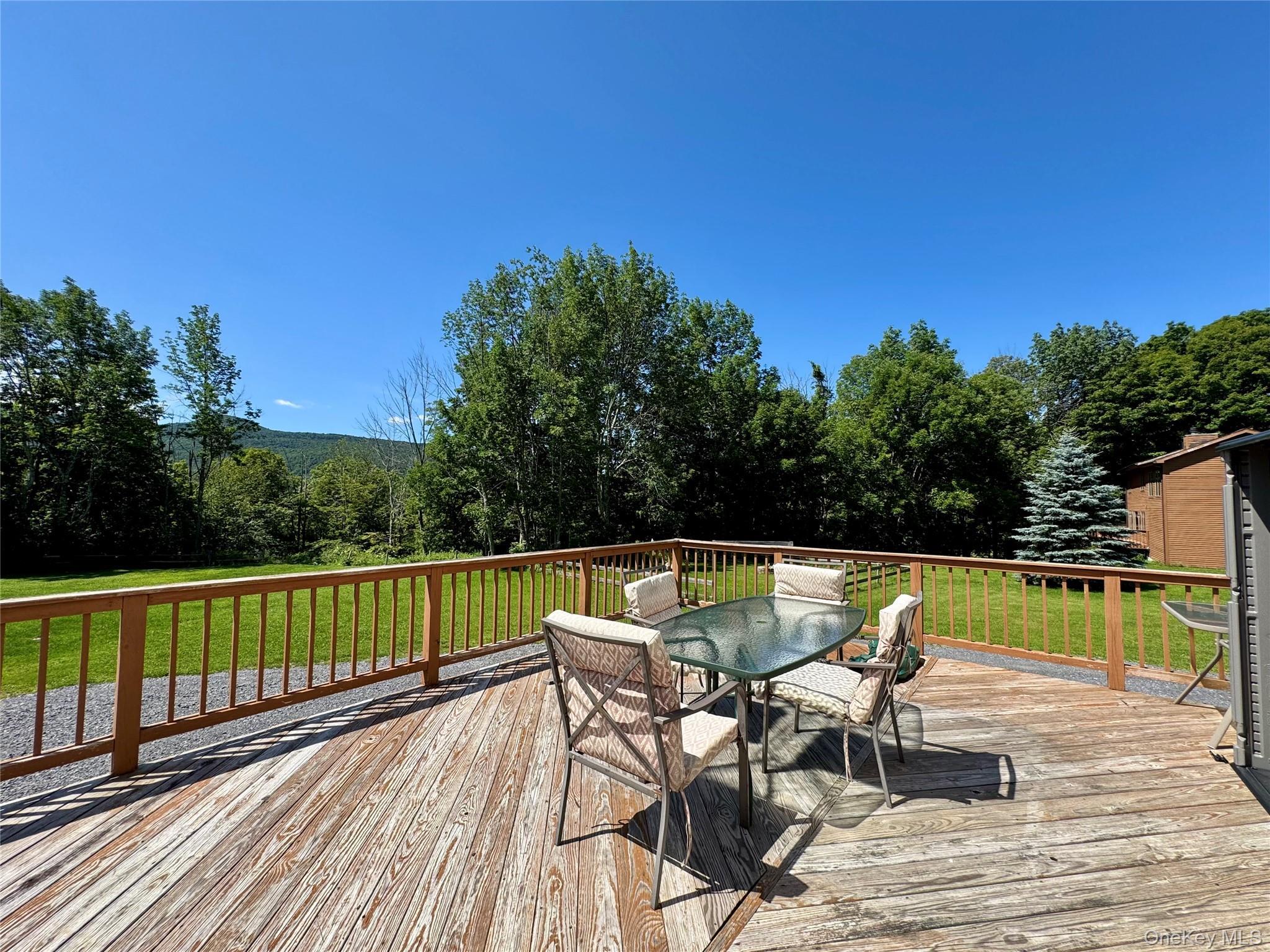 Single Family Lake Road  Greene County, NY 12442, MLS-1037491-8