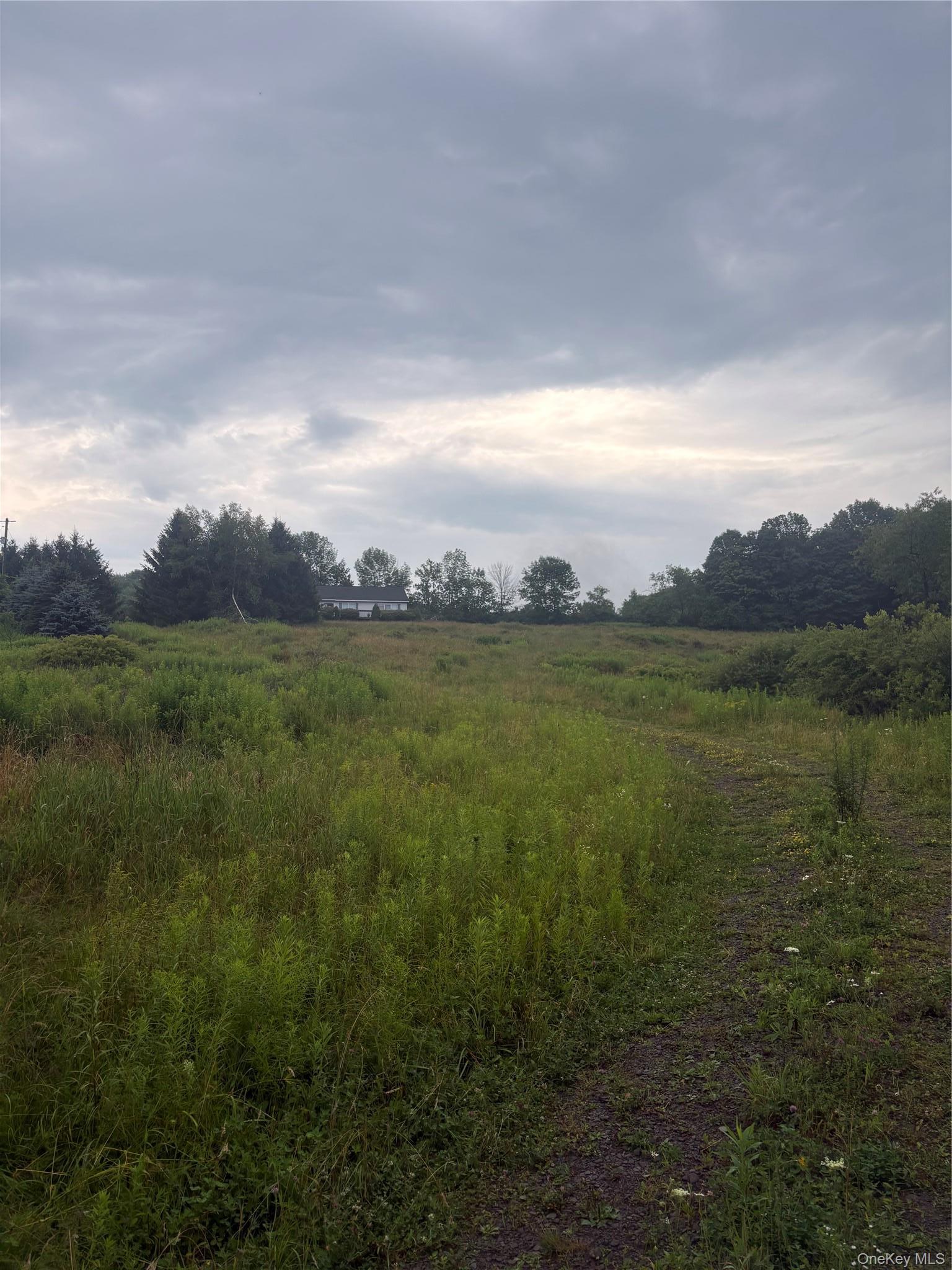 Single Family Dryden Road Delaware County, NY 13856, MLS-1037497-5