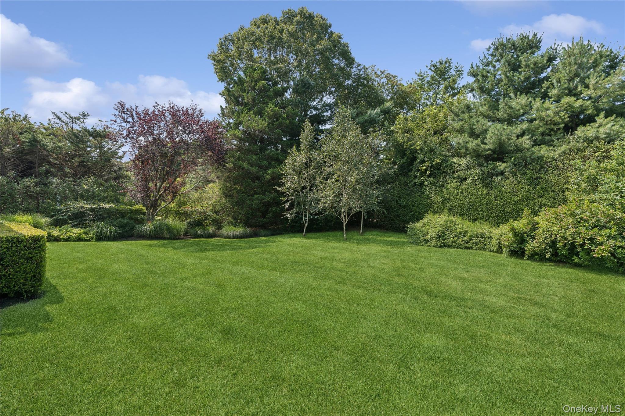 Single Family Meadows W Suffolk County, NY 11932, MLS-1037500-39