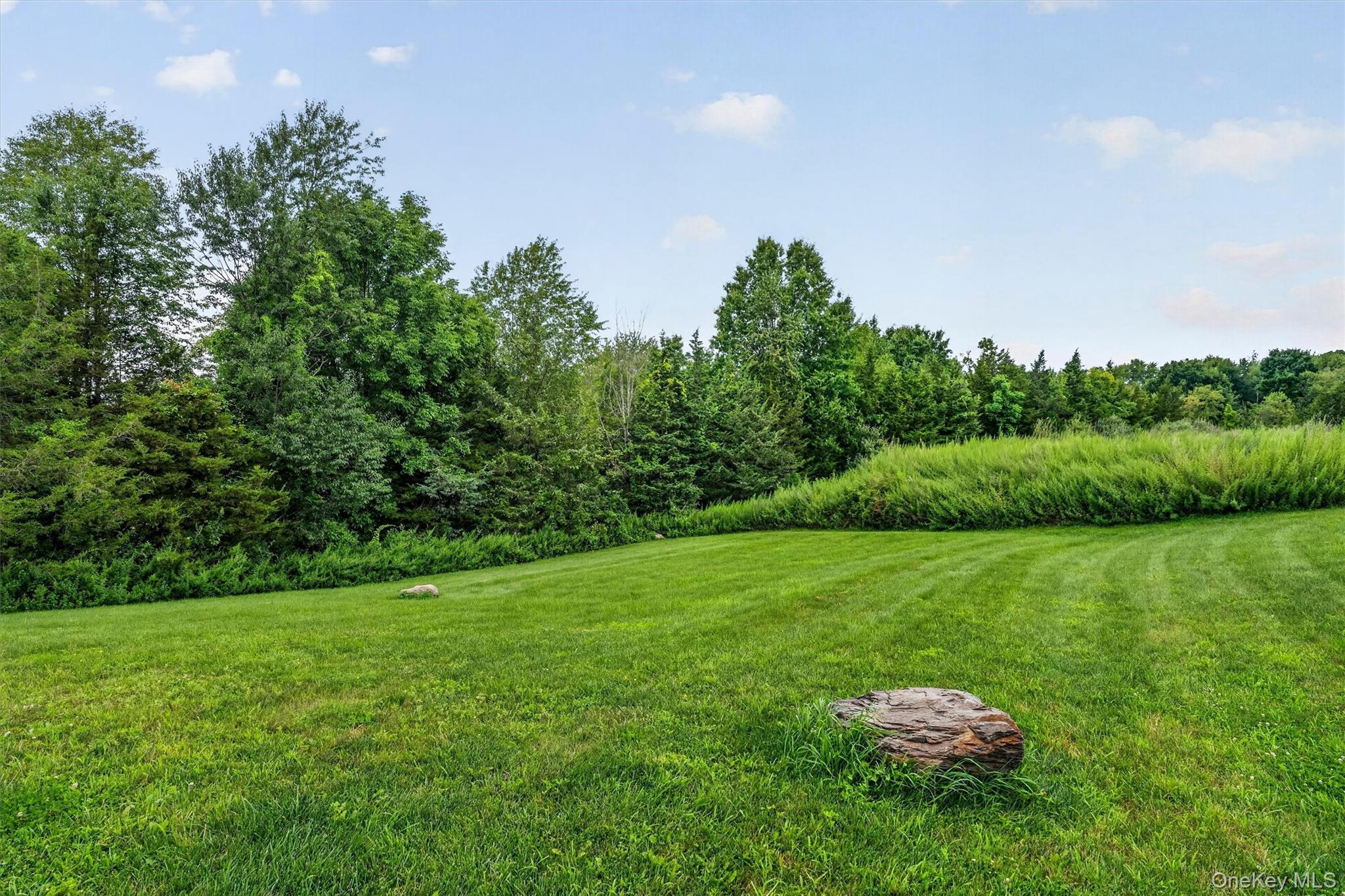 Single Family Mountainside Drive  Orange County, NY 10918, MLS-1037562-32