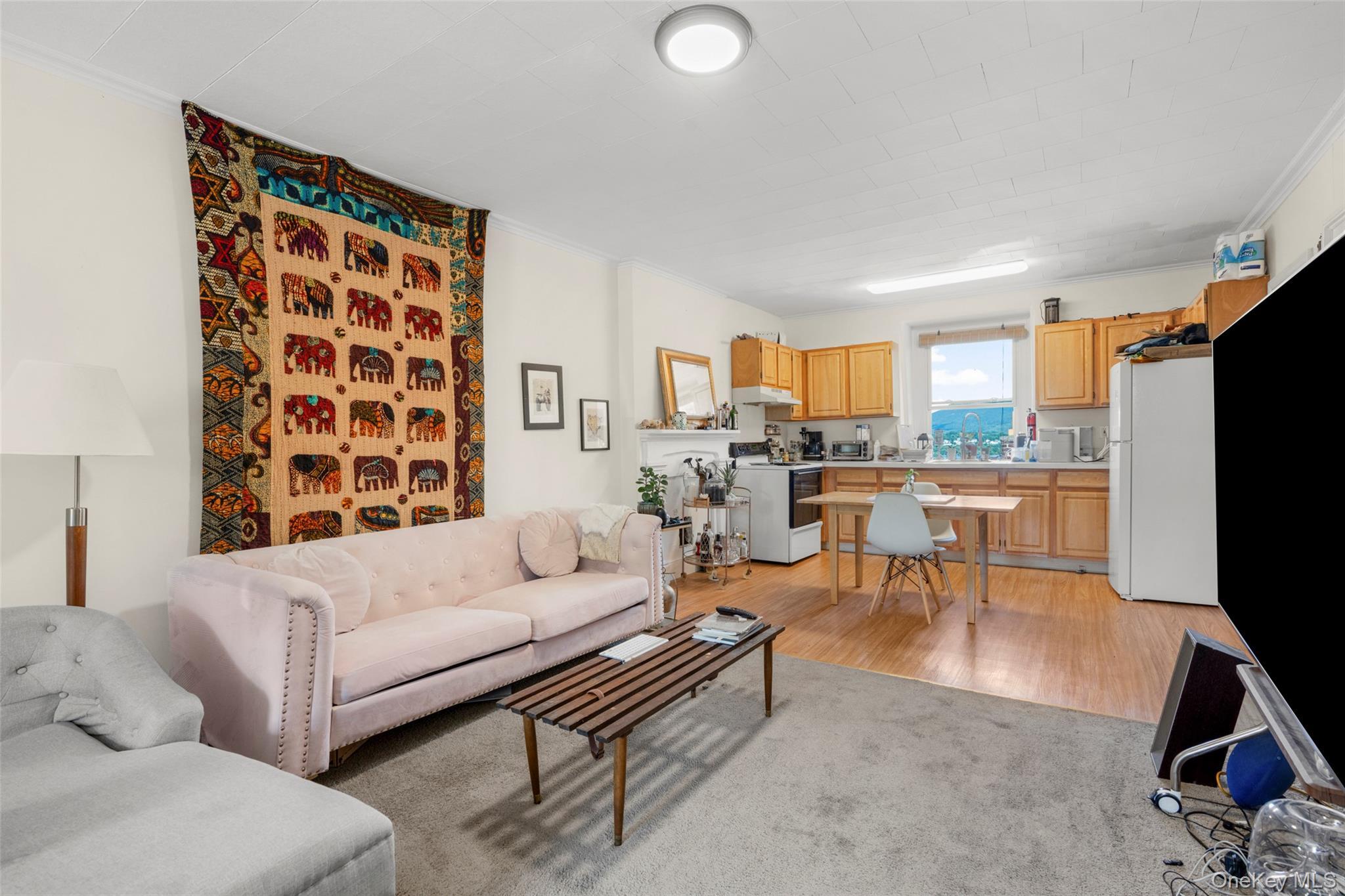 Single Family Grand Street Orange County, NY 12550, MLS-1037629-30