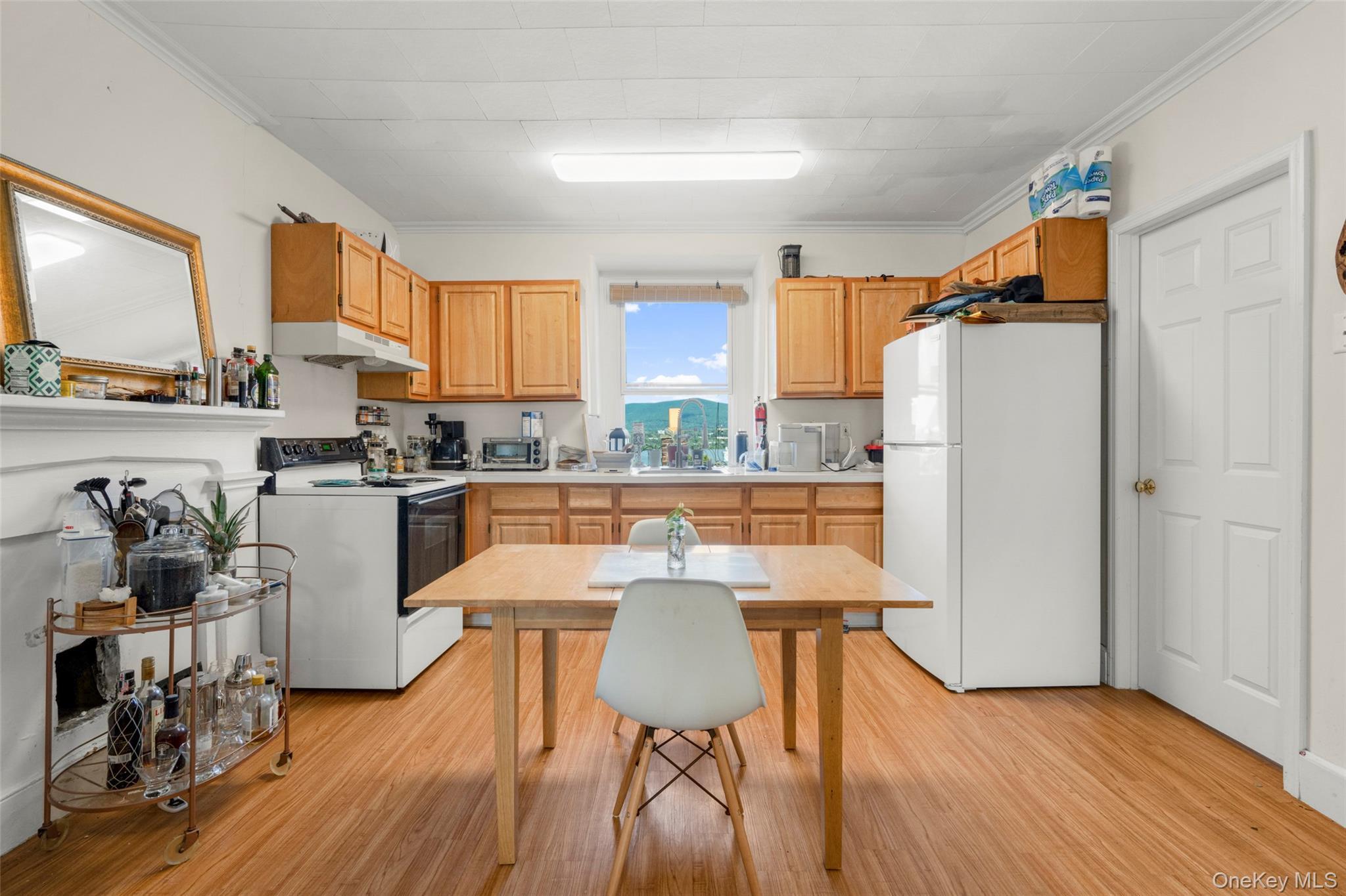 Single Family Grand Street Orange County, NY 12550, MLS-1037629-31