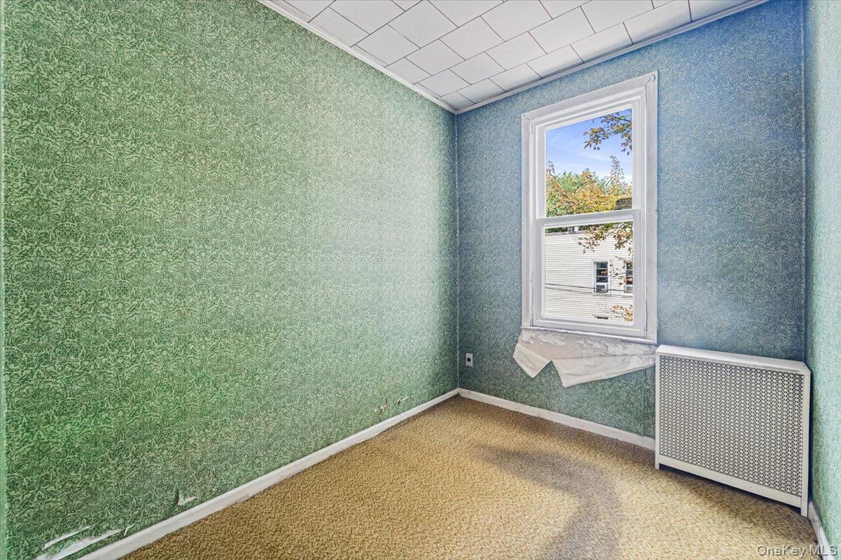 Single Family Nurge Avenue Queens, NY 11378, MLS-1037631-17