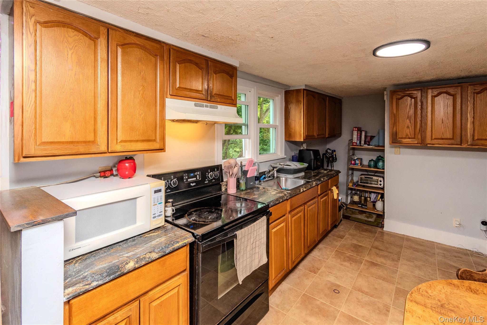 Single Family Vineyard Avenue Ulster County, NY 12528, MLS-1037649-7