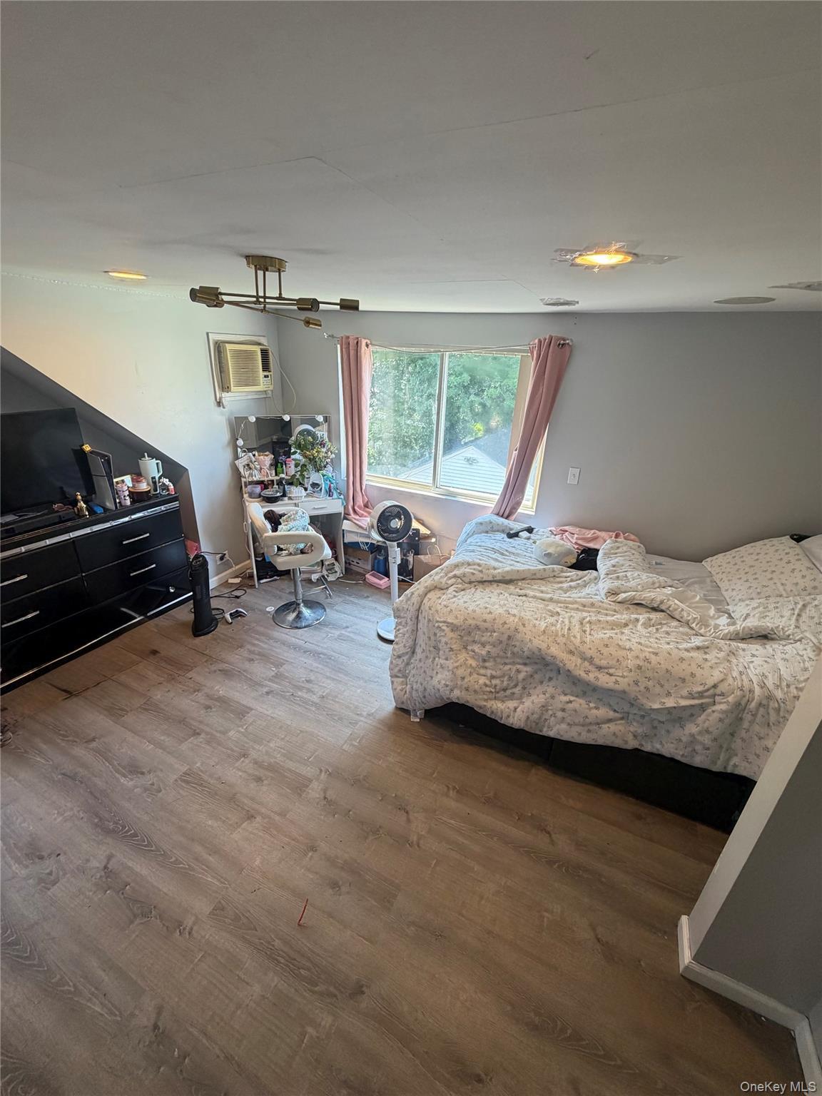 Single Family Jackson Avenue  Nassau County, NY 11003, MLS-1037655-4
