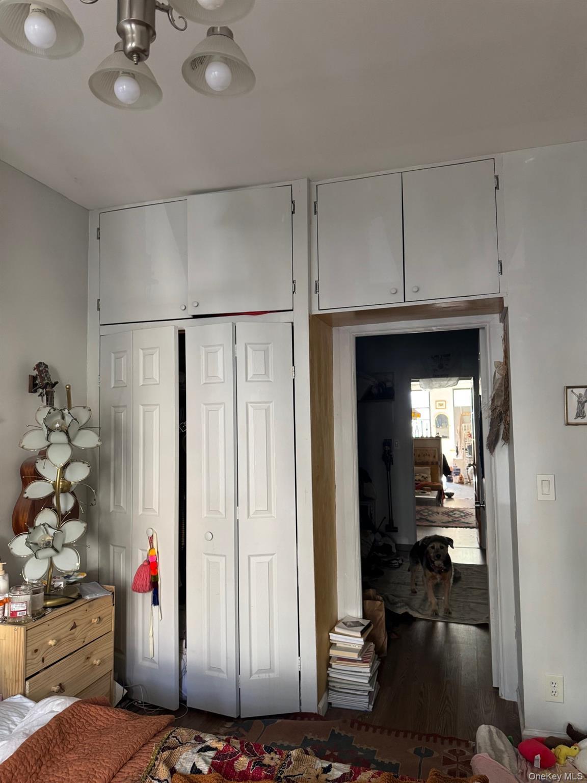 Single Family Greene Avenue Queens, NY 11385, MLS-1037669-4