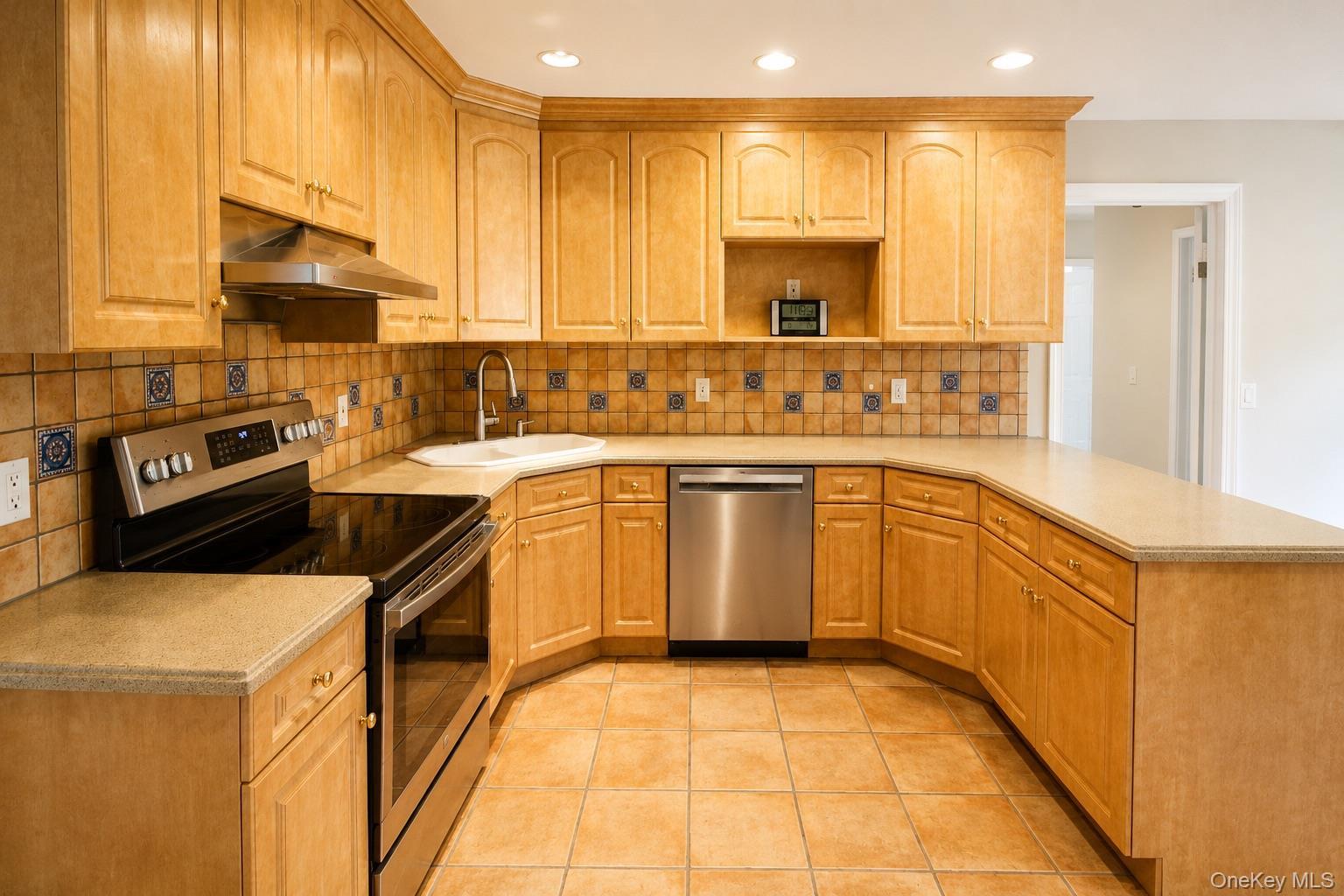 Single Family Lisa Court Nassau County, NY 11791, MLS-1037686-11