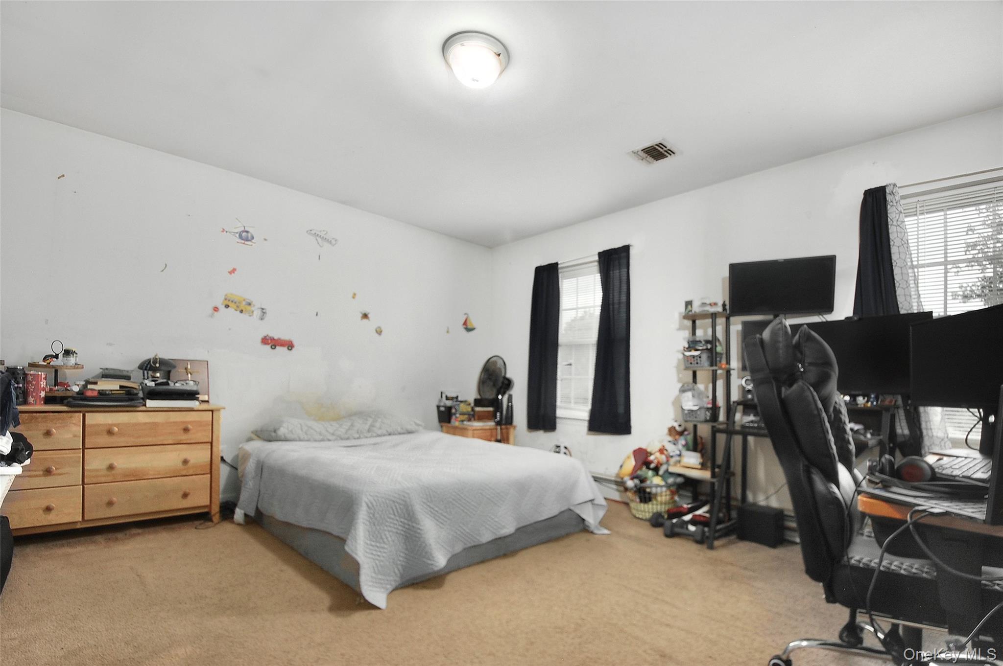Single Family Frances Lane Orange County, NY 10950, MLS-1037697-32