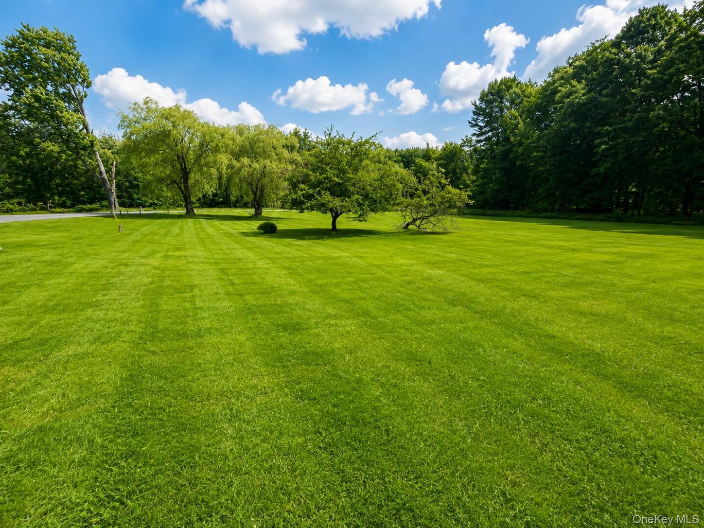 Single Family Bowers Drive  Sullivan County, NY 12747, MLS-1037729-30