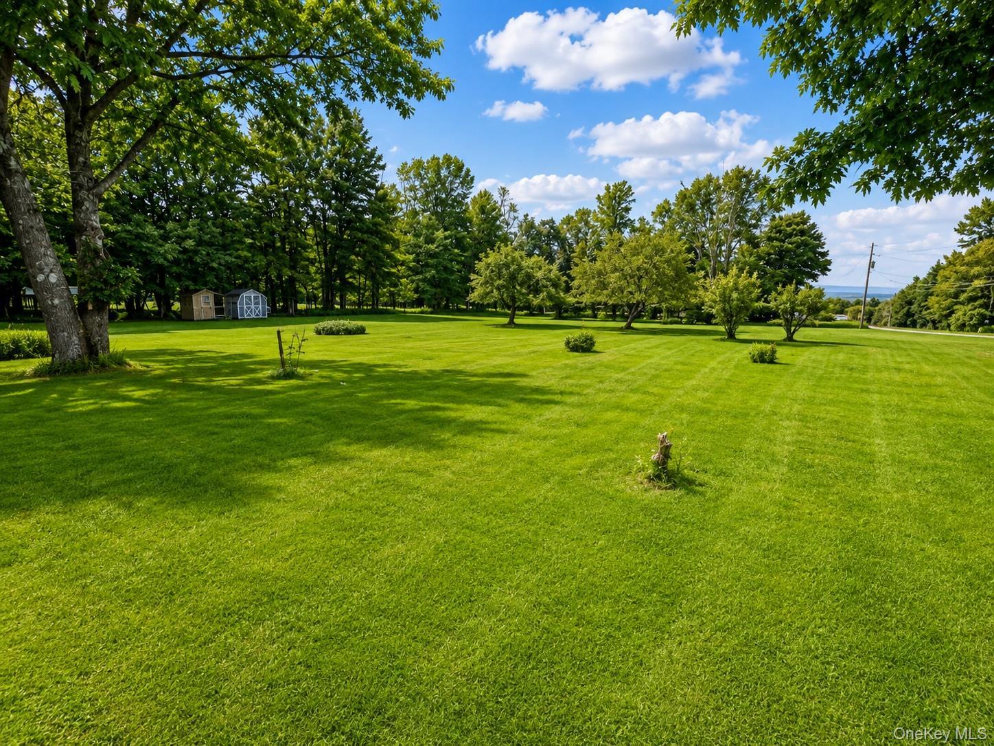 Single Family Bowers Drive  Sullivan County, NY 12747, MLS-1037729-31
