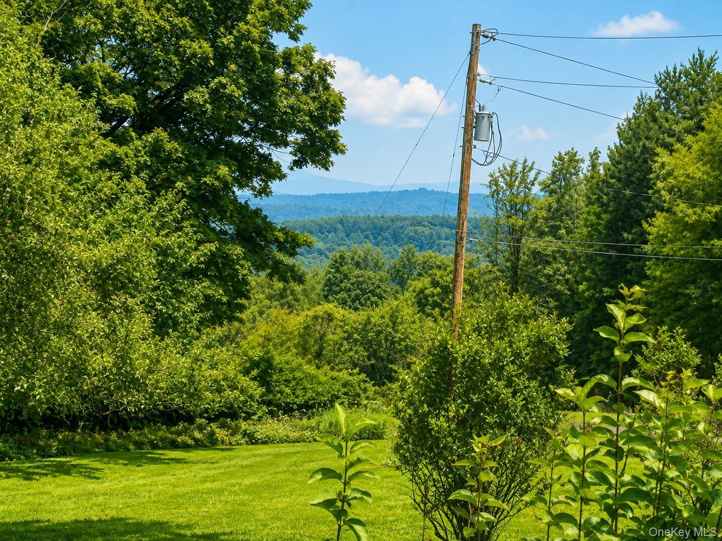 Single Family Bowers Drive  Sullivan County, NY 12747, MLS-1037729-5