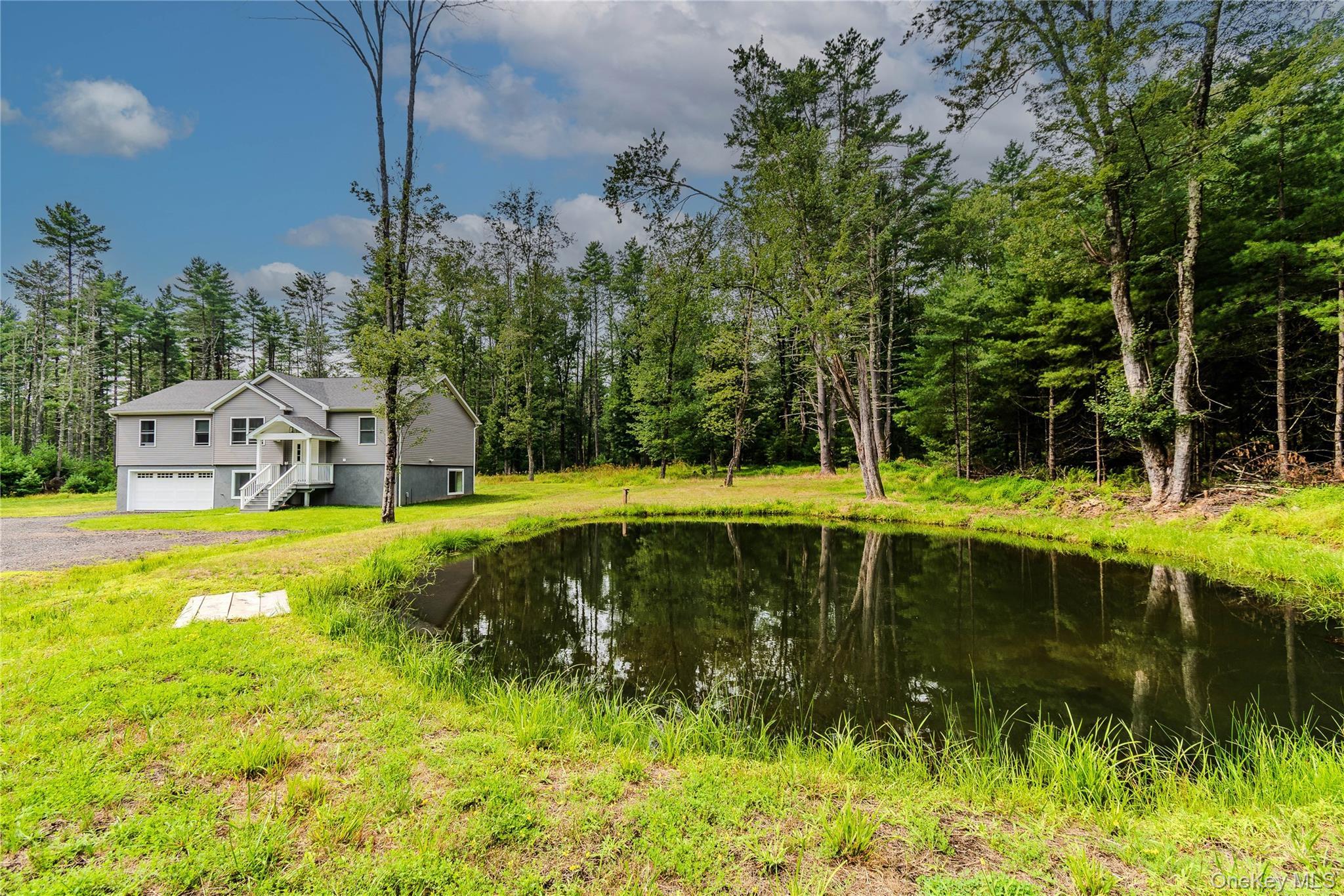 Single Family Summit Drive Sullivan County, NY 12719, MLS-1037742-2