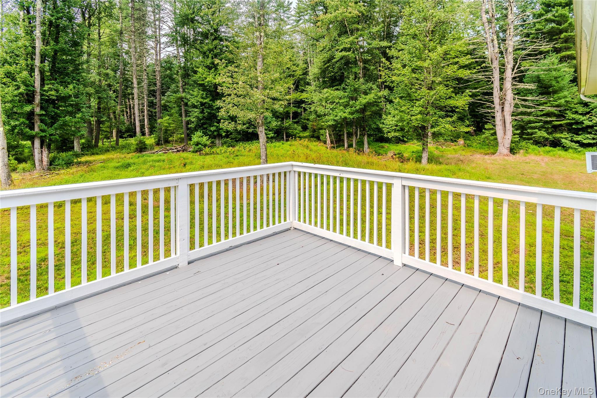 Single Family Summit Drive Sullivan County, NY 12719, MLS-1037742-25