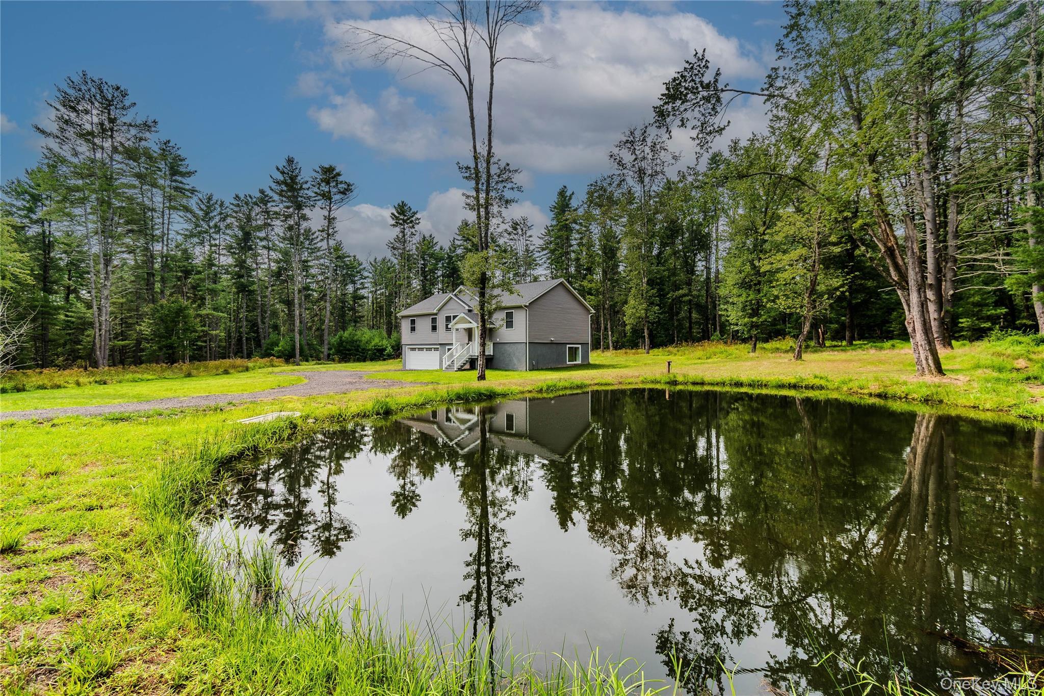 Single Family Summit Drive Sullivan County, NY 12719, MLS-1037742-29