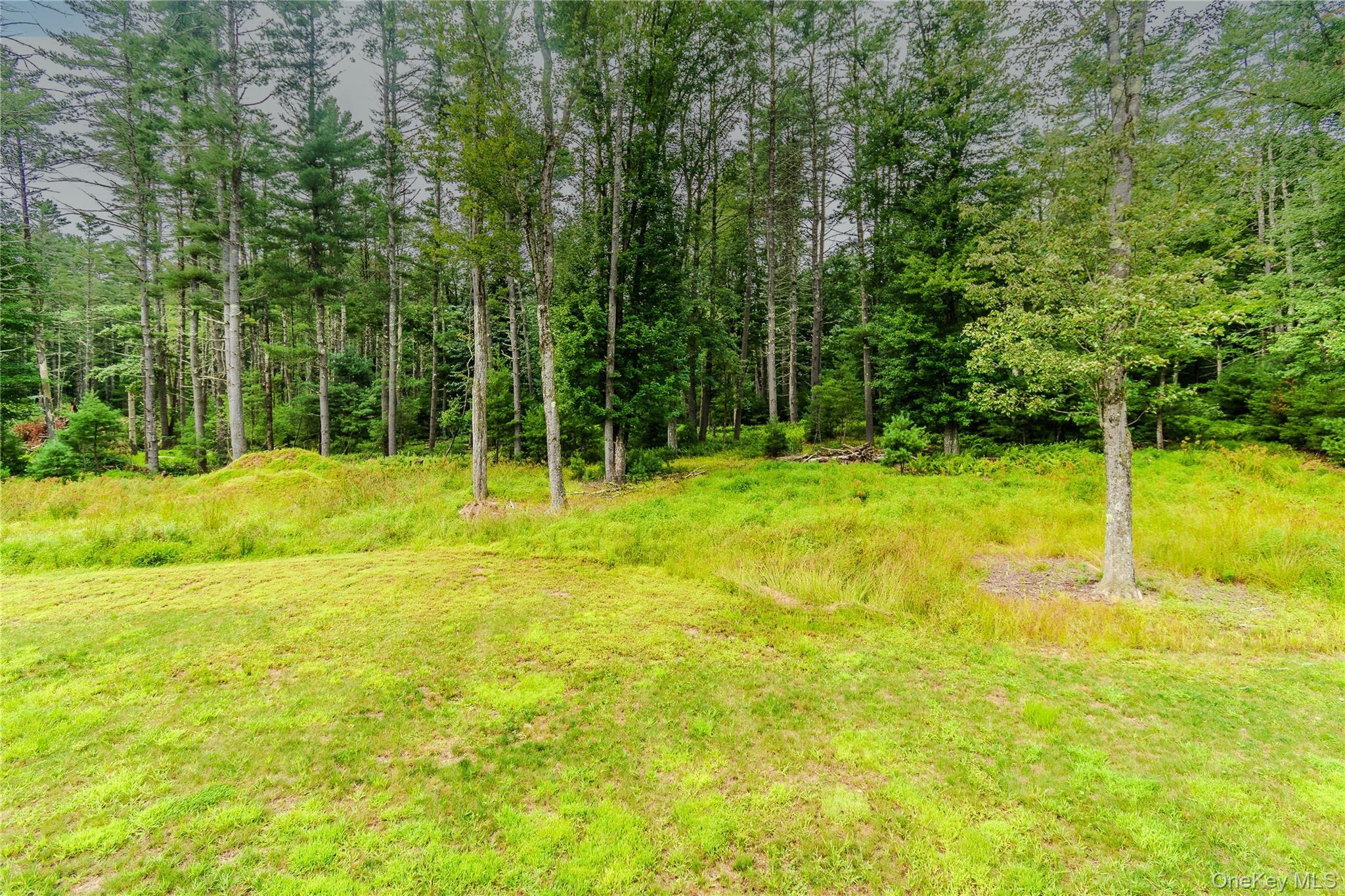 Single Family Summit Drive Sullivan County, NY 12719, MLS-1037742-30