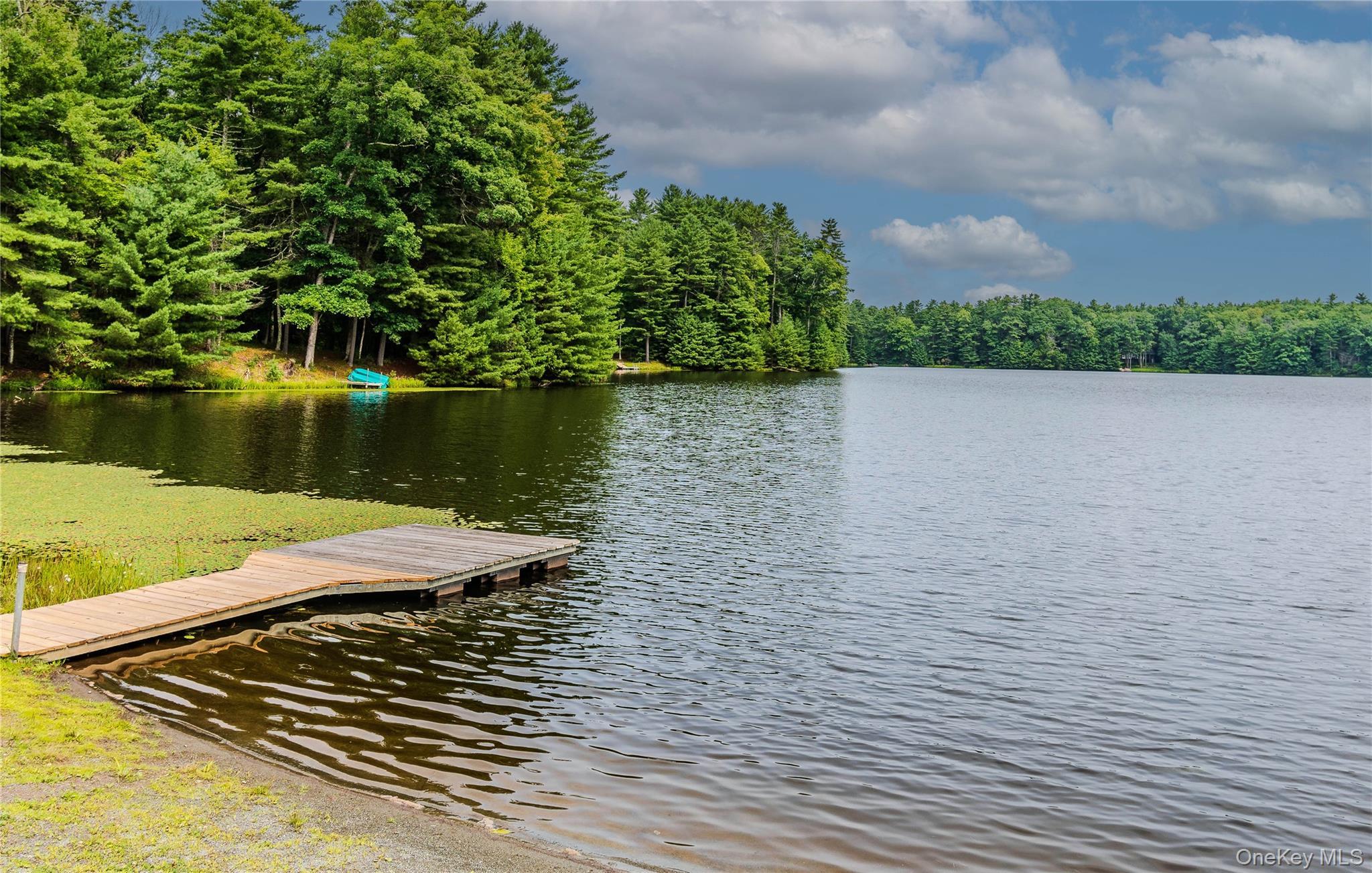 Single Family Summit Drive Sullivan County, NY 12719, MLS-1037742-4