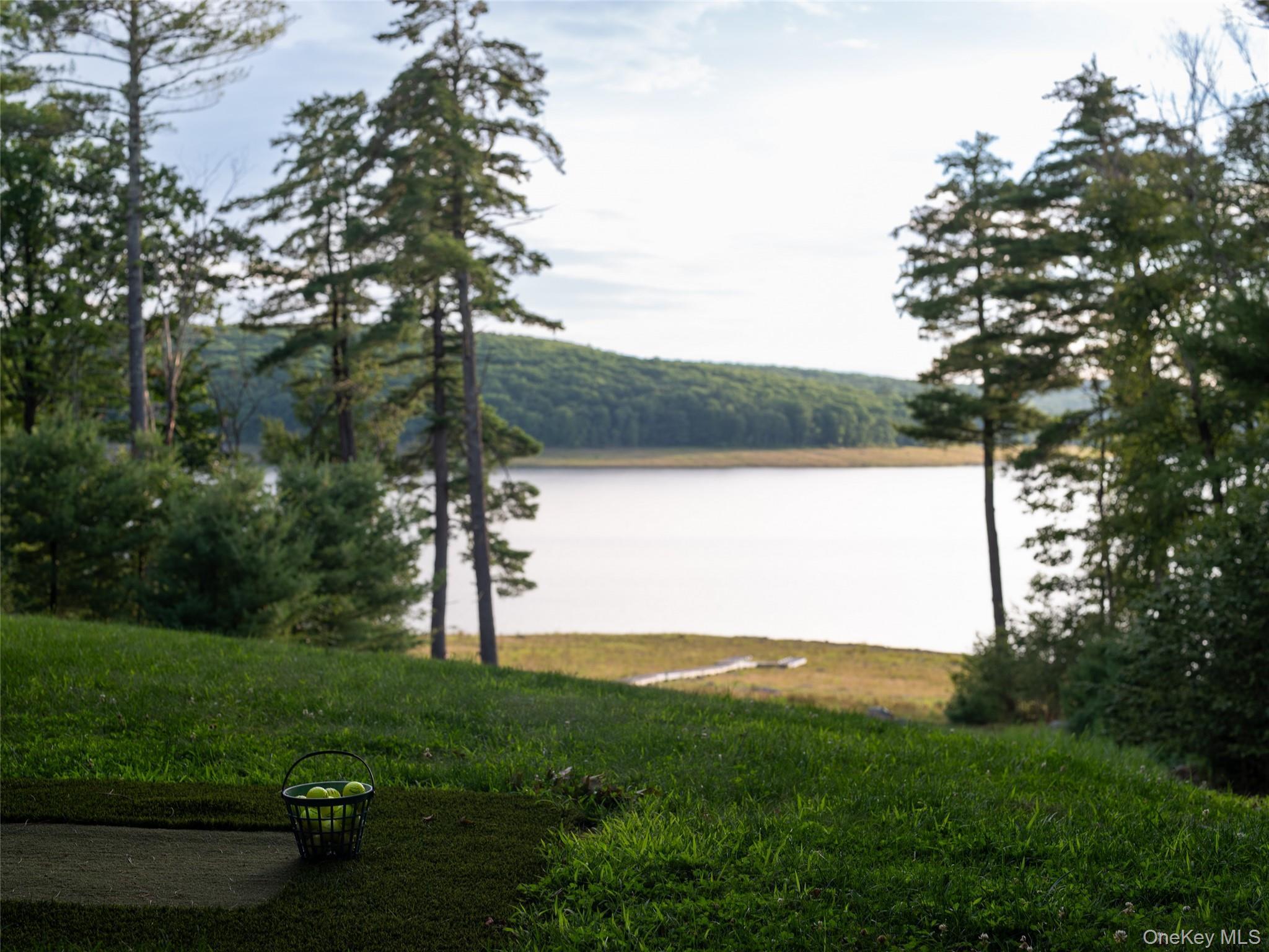Single Family Top Ridge Trail  Sullivan County, NY 12786, MLS-1037747-3