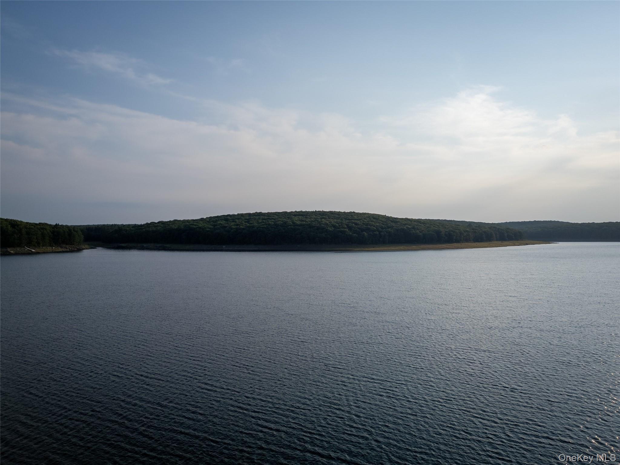 Single Family Top Ridge Trail  Sullivan County, NY 12786, MLS-1037747-46