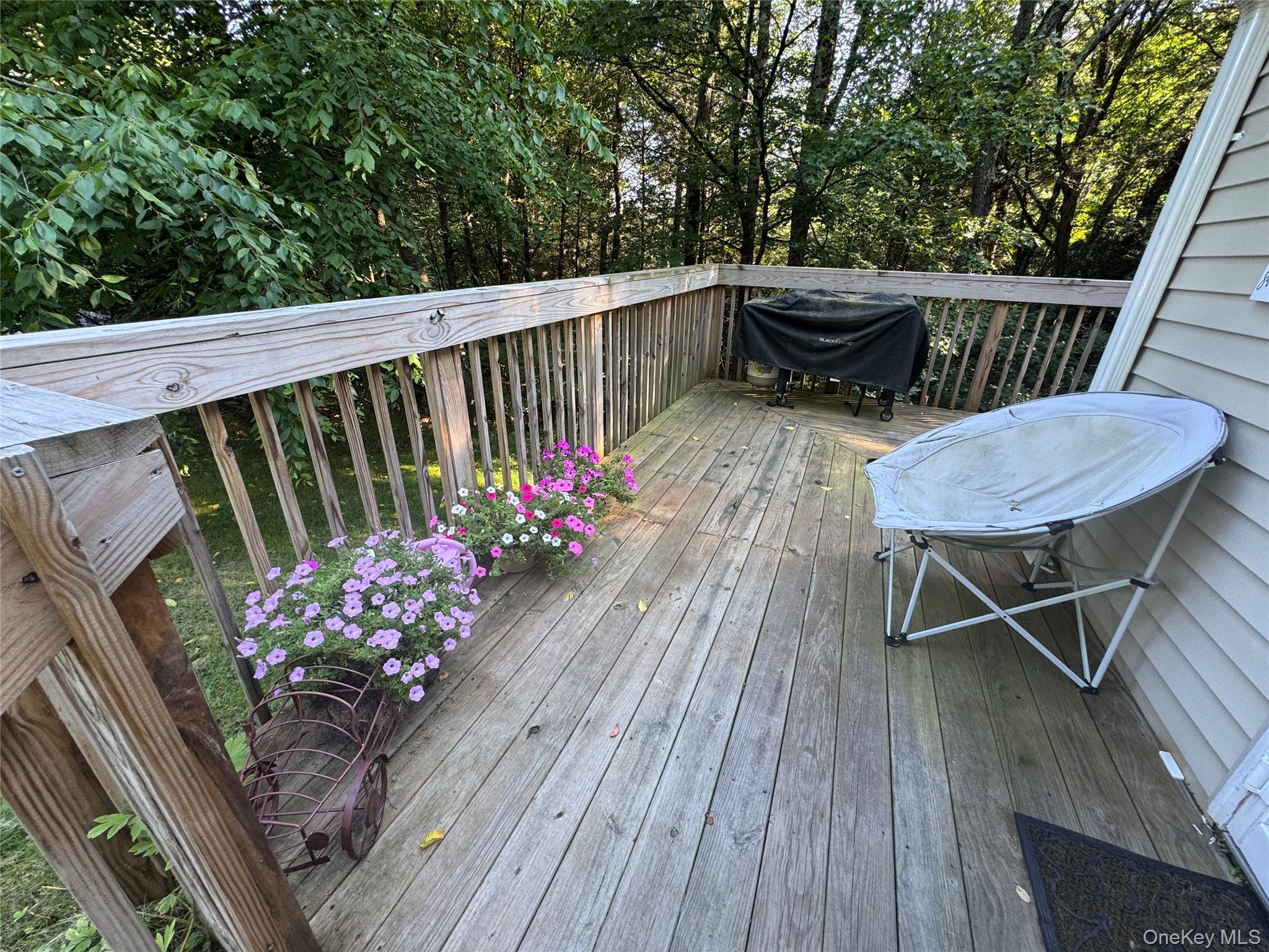Single Family Ferndale Road Sullivan County, NY 12734, MLS-1037754-12
