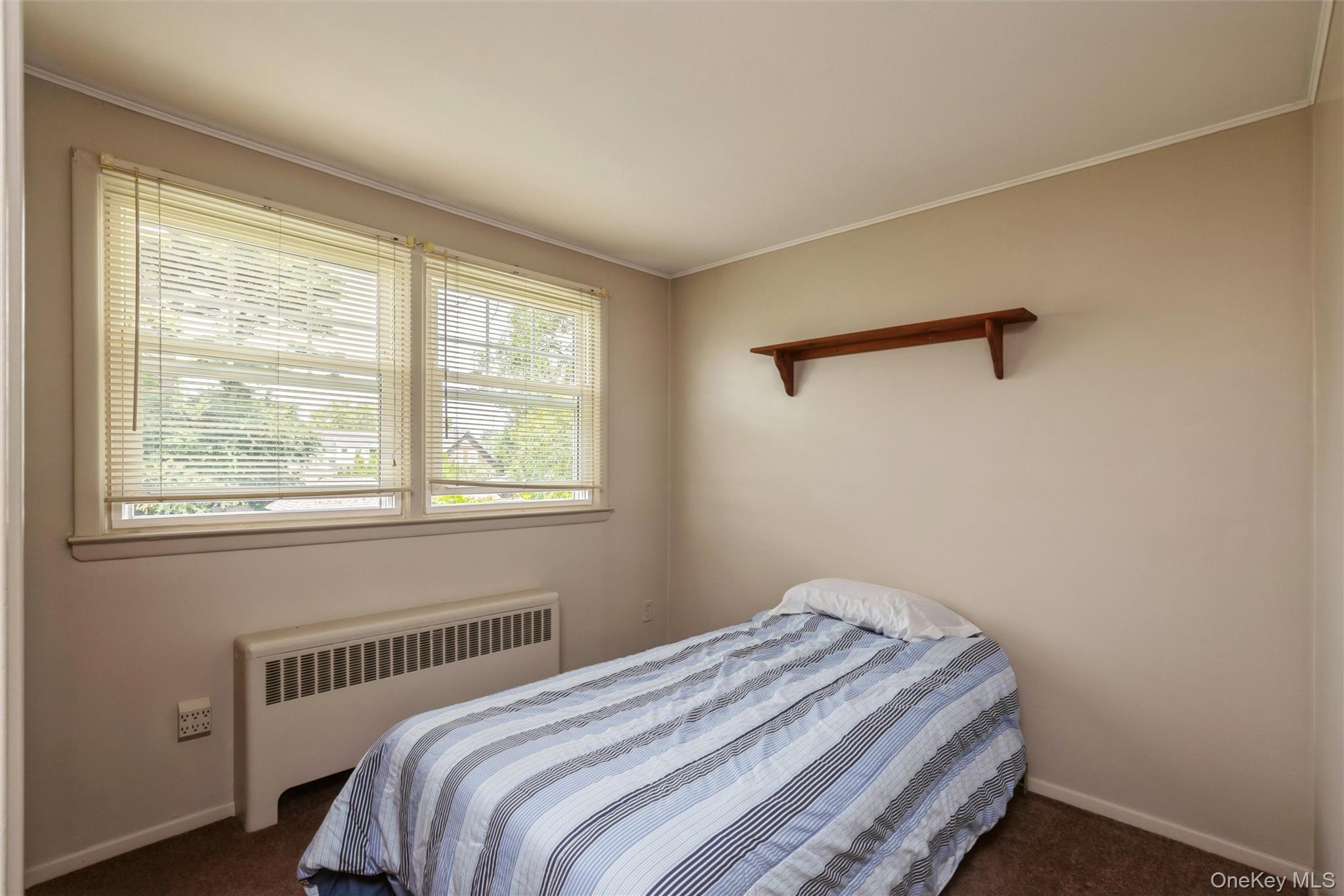 Single Family Litchfield Avenue  Suffolk County, NY 11702, MLS-1037760-16