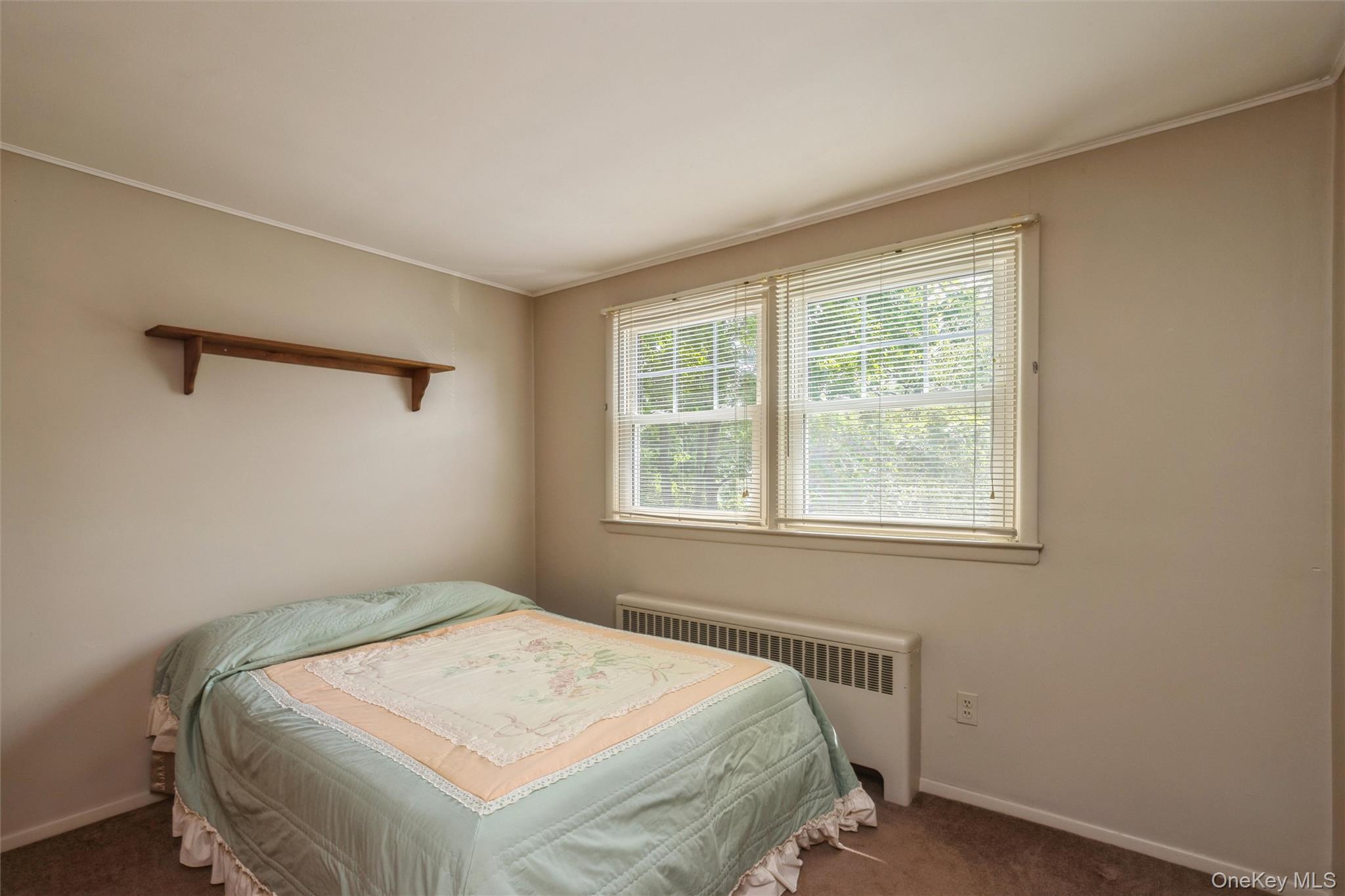Single Family Litchfield Avenue  Suffolk County, NY 11702, MLS-1037760-17