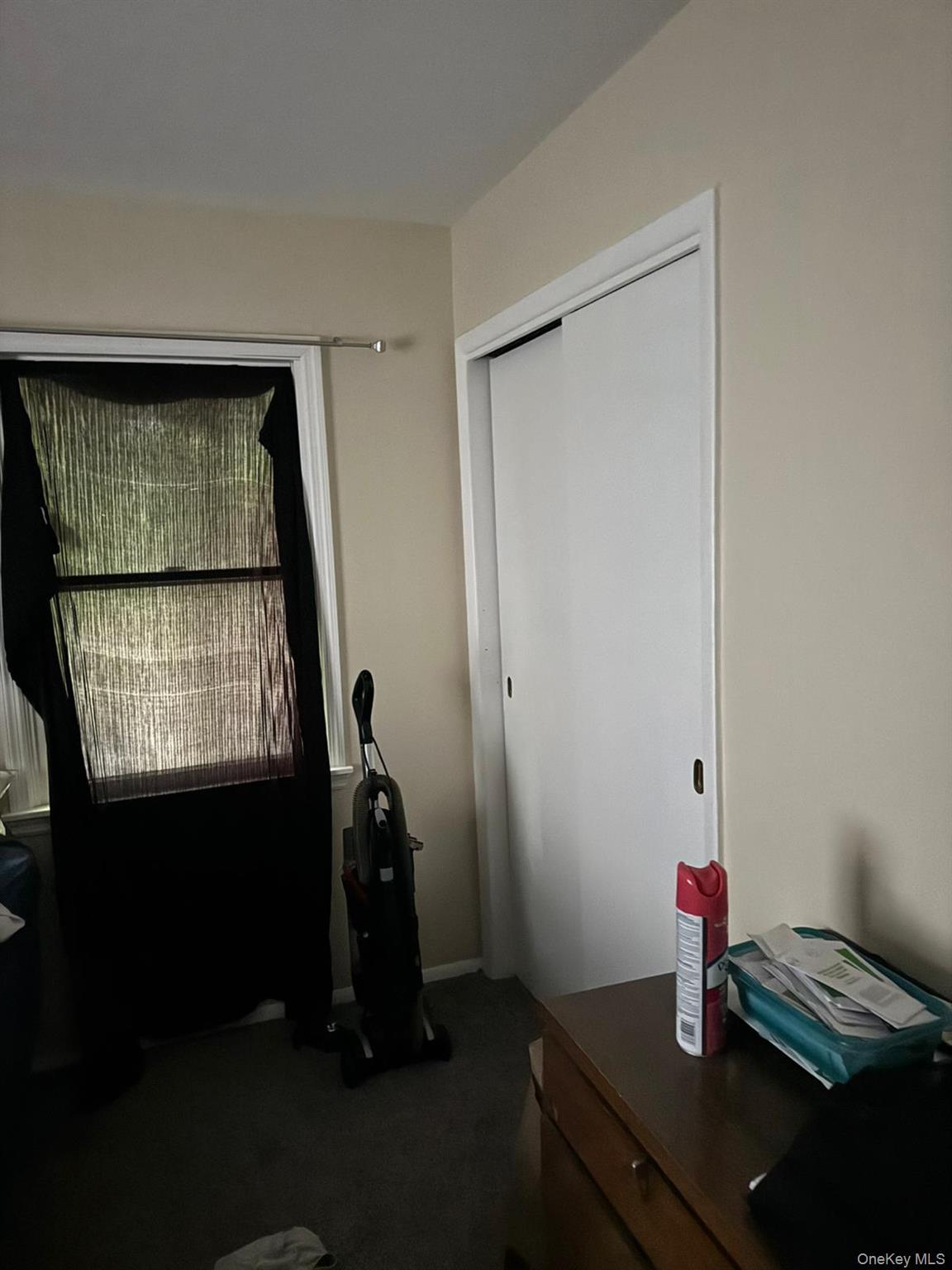 Single Family Tappan Drive  Orange County, NY 10950, MLS-1037781-11