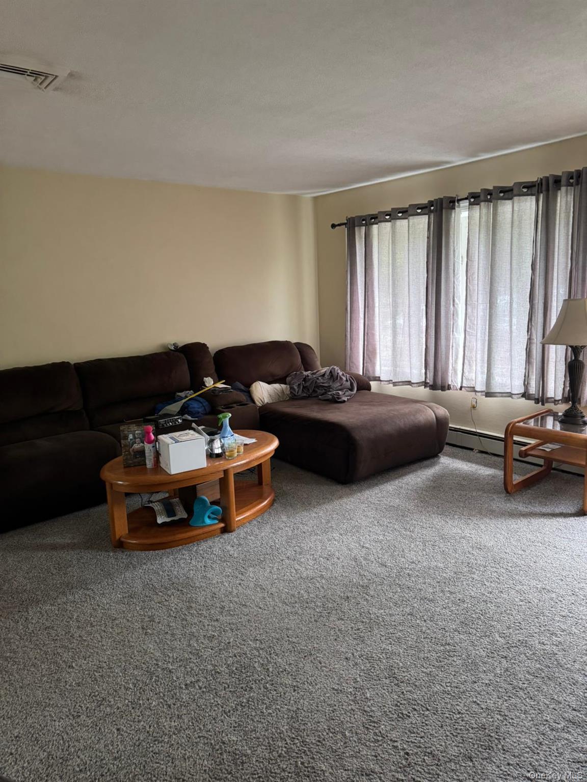Single Family Tappan Drive  Orange County, NY 10950, MLS-1037781-14