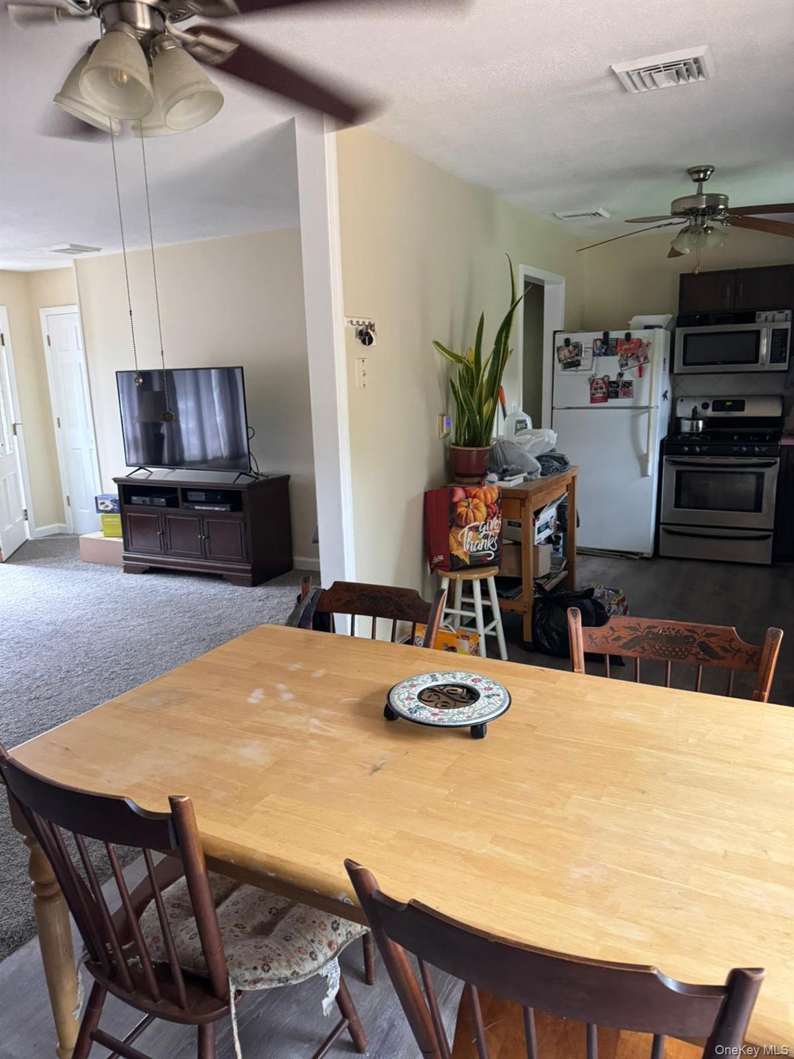 Single Family Tappan Drive  Orange County, NY 10950, MLS-1037781-17