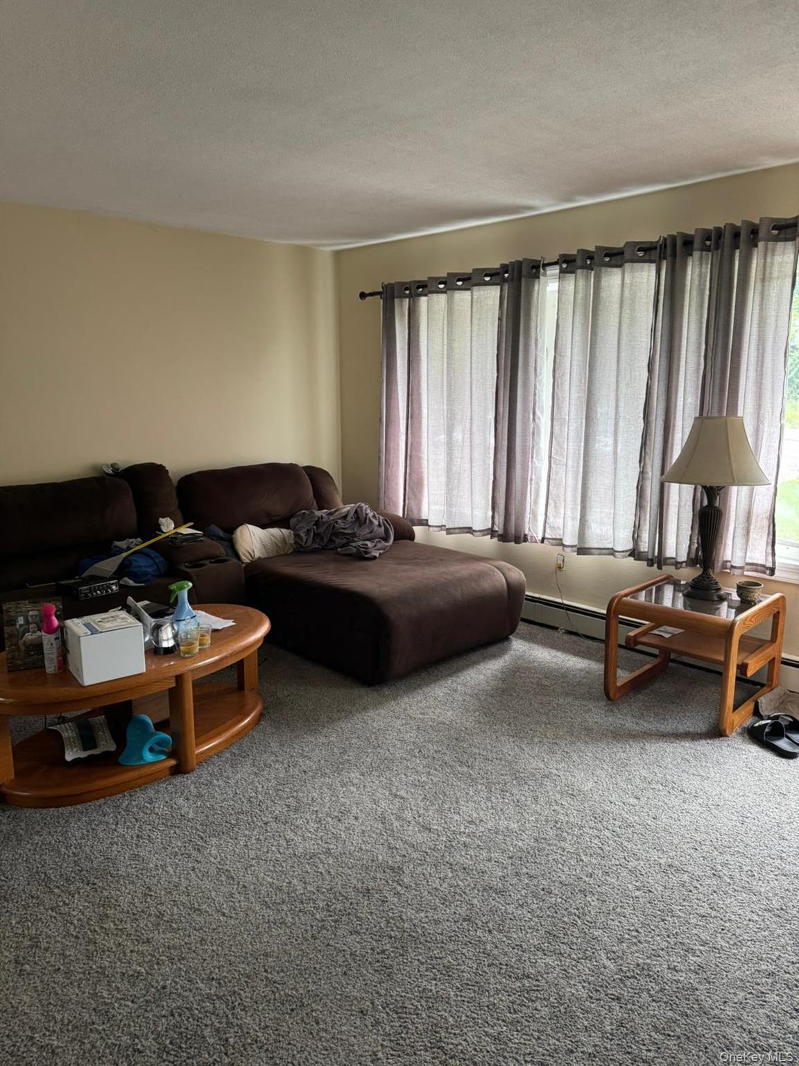Single Family Tappan Drive  Orange County, NY 10950, MLS-1037781-22